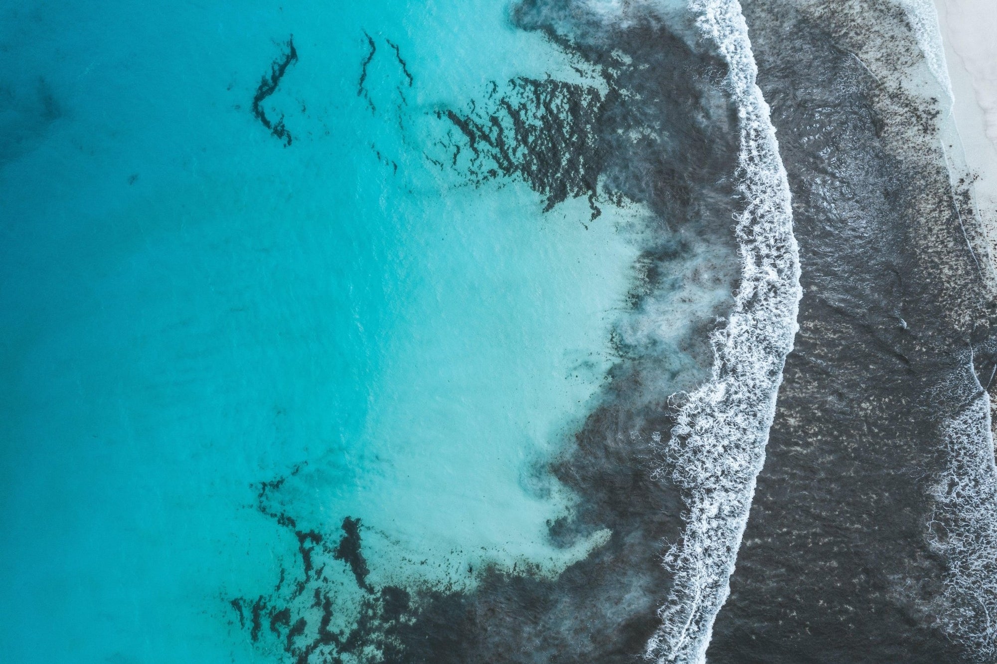 Patrick - Esperance Wall Art - Digital Download - Days Adrift