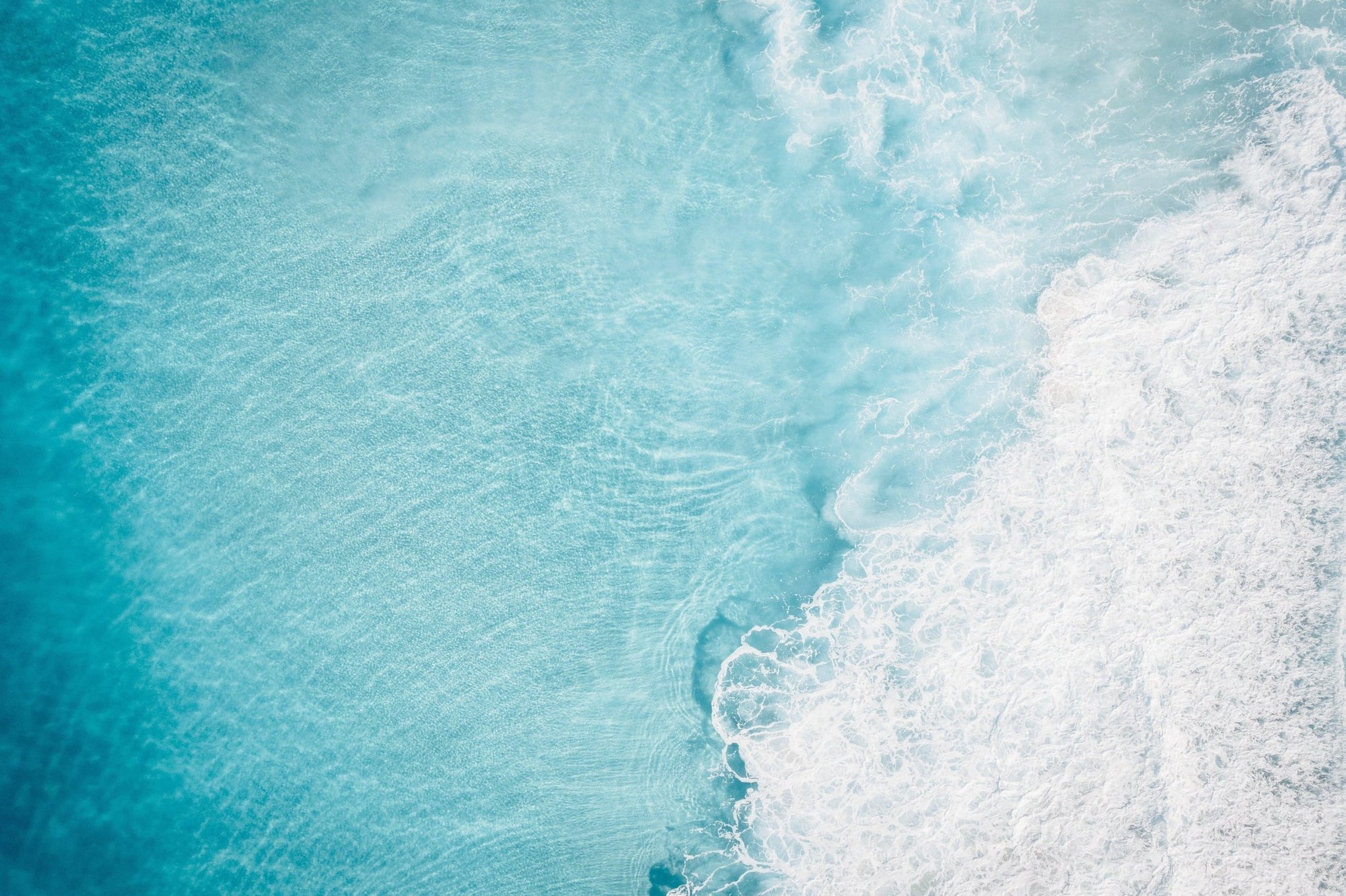 Priya - Scarborough Wall Art - Digital Download - Days Adrift