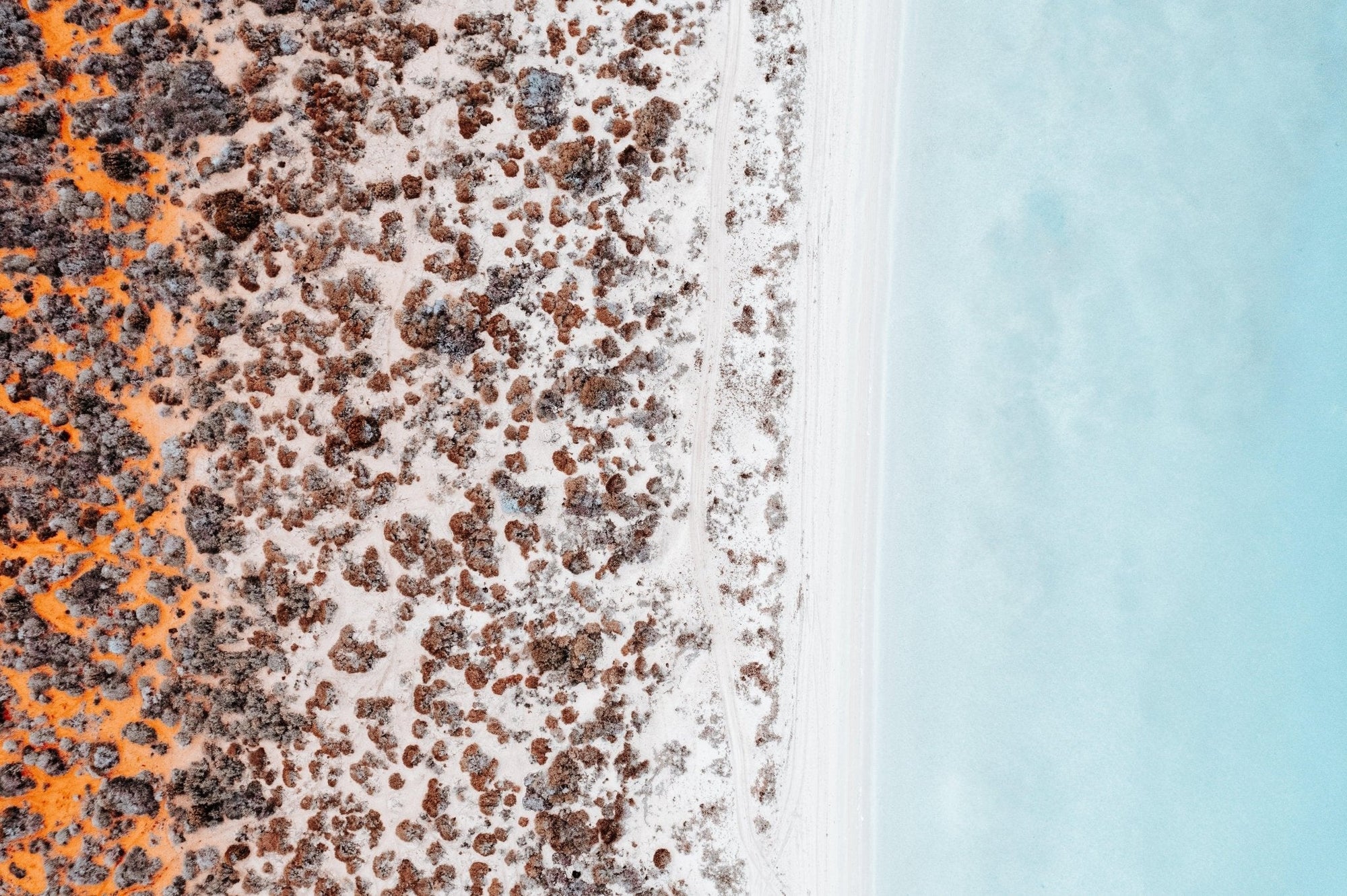 Rachael - Shark Bay Wall Art - Digital Download - Days Adrift