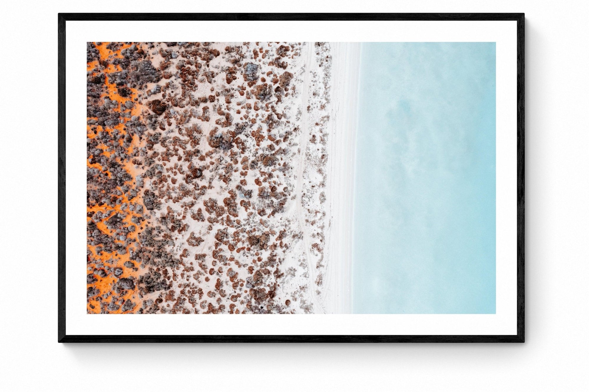 Rachael - Shark Bay Wall Art - Framed Print - Days Adrift