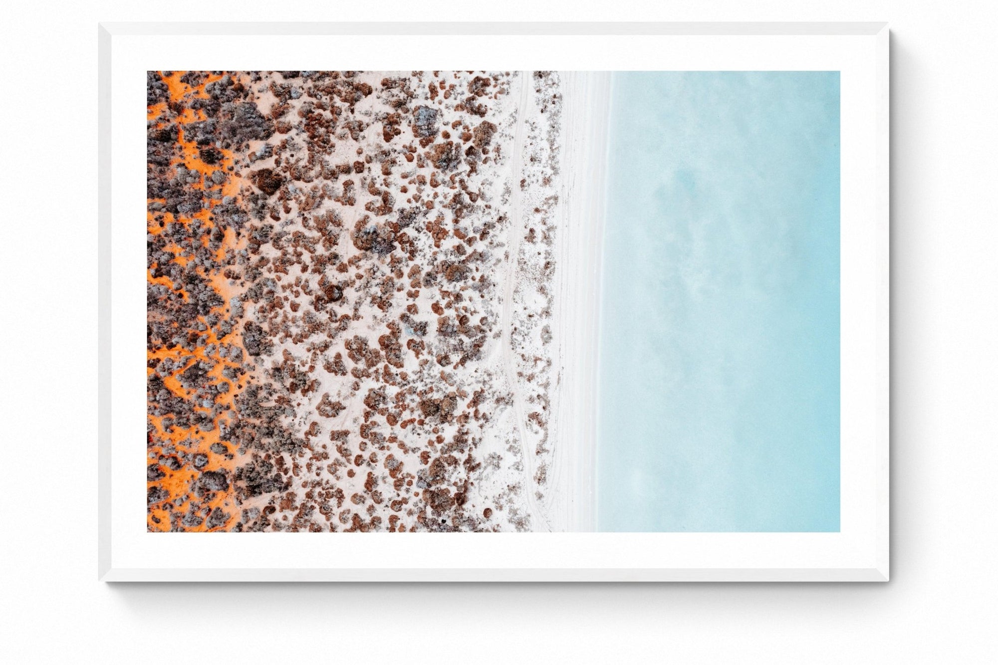 Rachael - Shark Bay Wall Art - Framed Print - Days Adrift