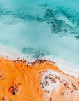 Reece - Shark Bay Wall Art - Digital Download - Days Adrift