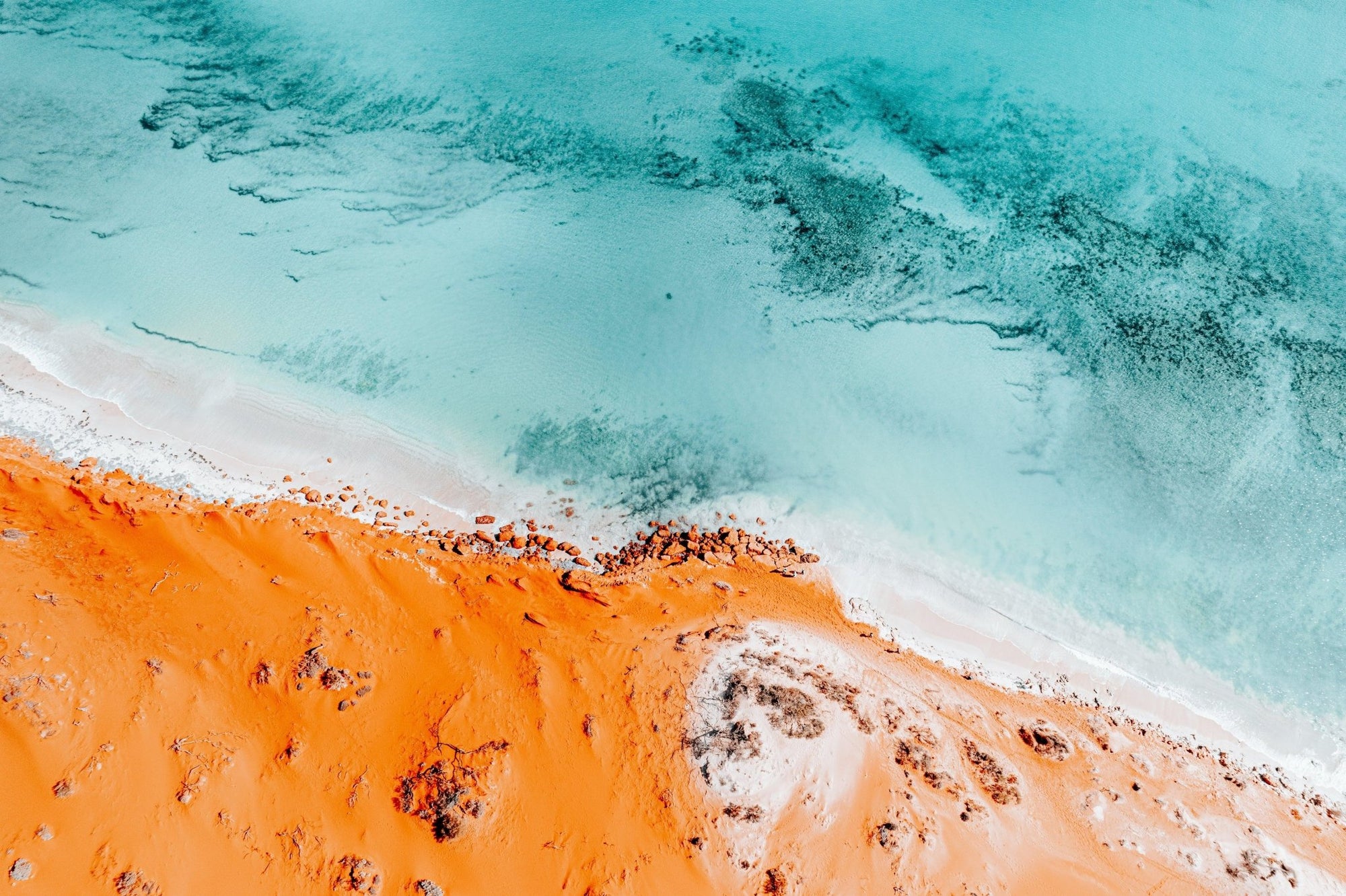 Reece - Shark Bay Wall Art - Digital Download - Days Adrift