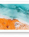 Reece - Shark Bay Wall Art - Framed Print - Days Adrift