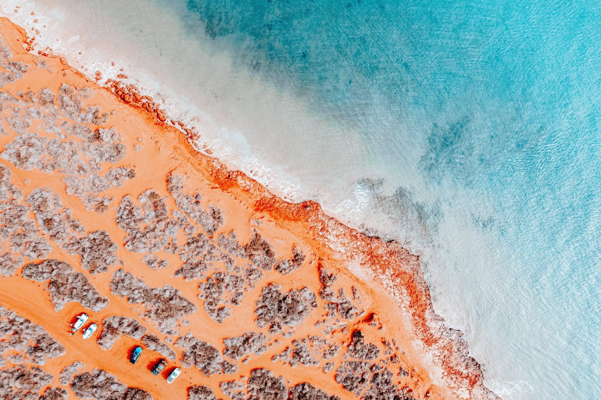 Reina - Shark Bay Wall Art - Digital Download - Days Adrift