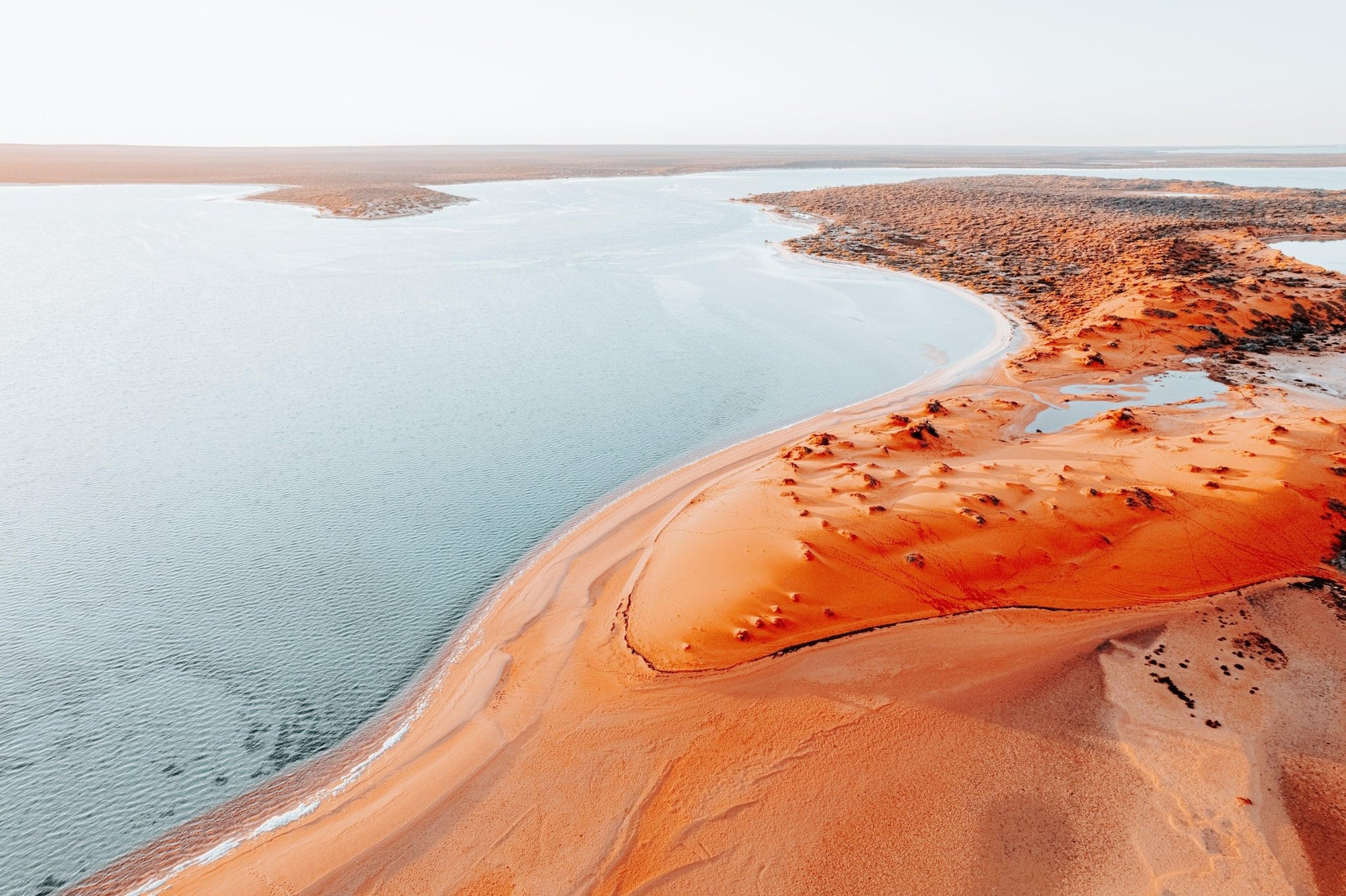 Rhodri - Shark Bay Wall Art - Digital Download - Days Adrift