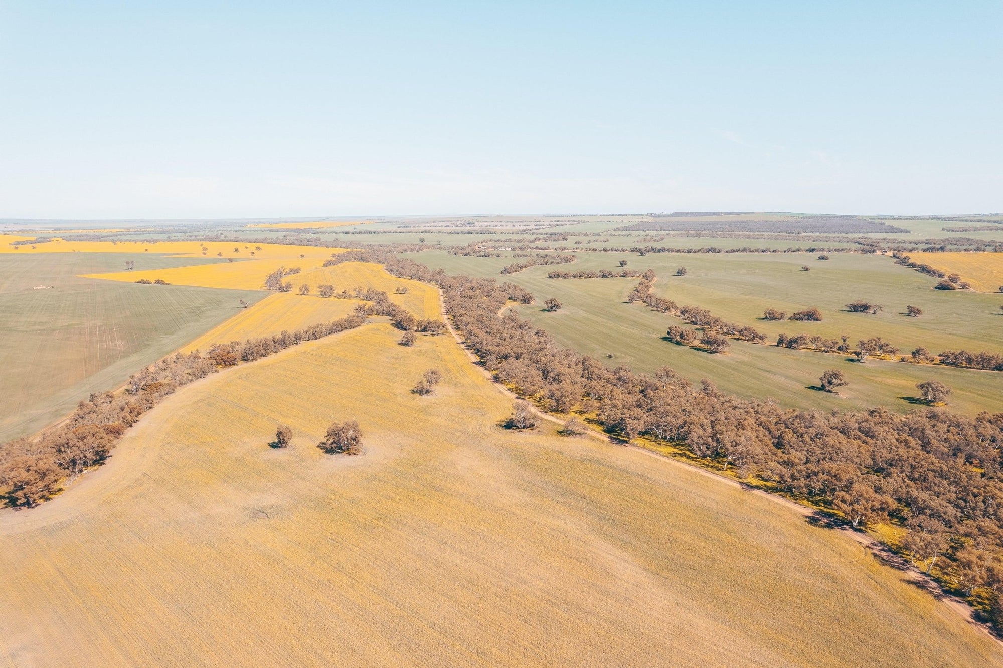 Roisin - Mingenew Wall Art - Digital Download - Days Adrift