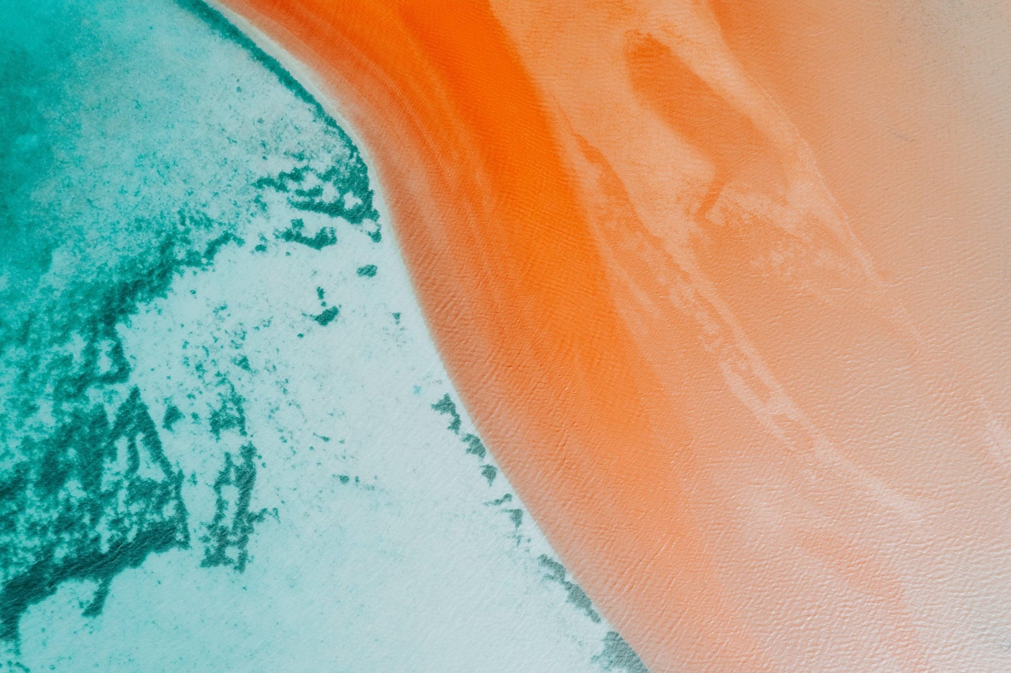 Ryleigh - Shark Bay Wall Art - Digital Download - Days Adrift