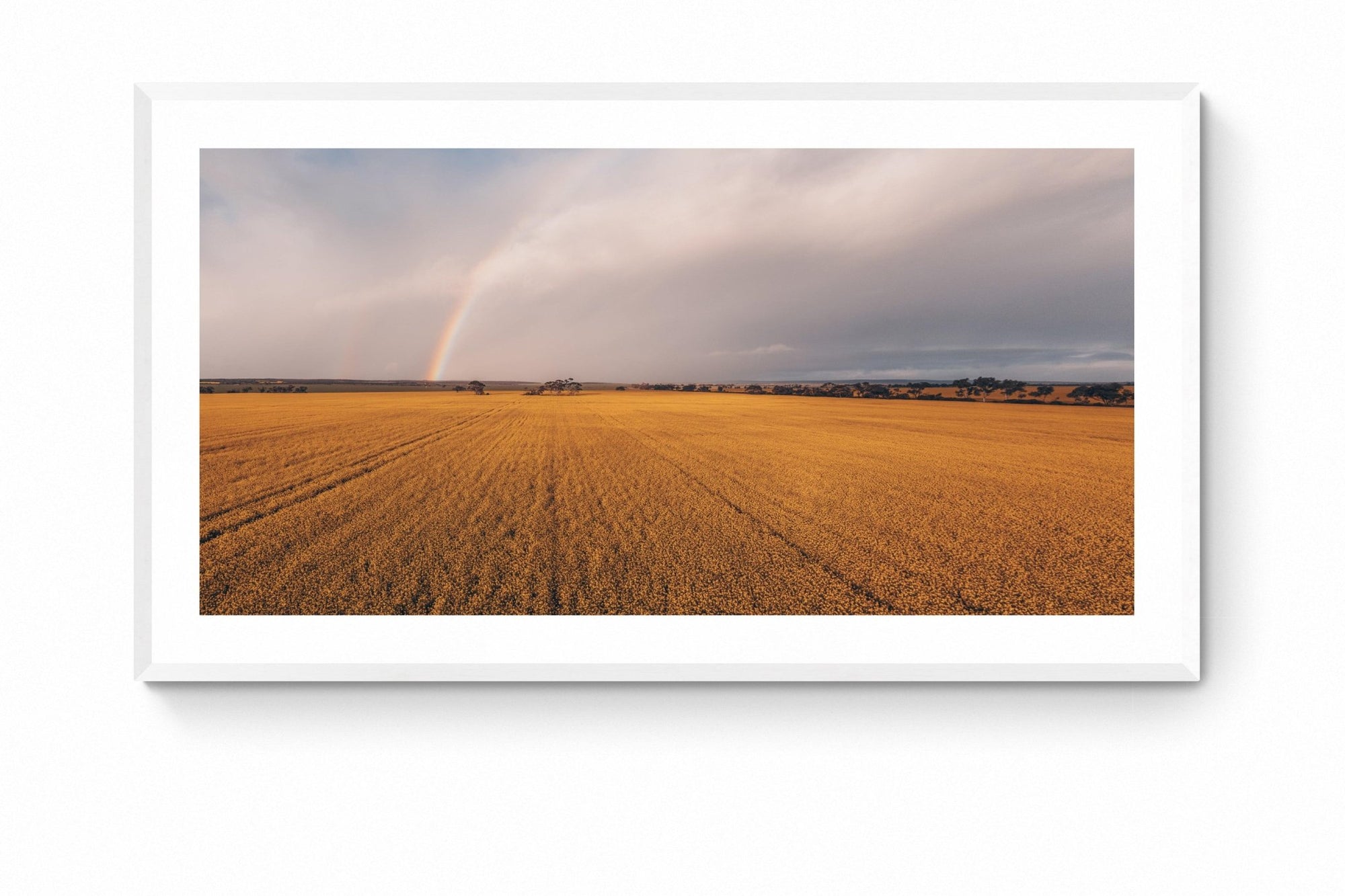 Saanvi - Mingenew Wall Art - Framed Print - Days Adrift