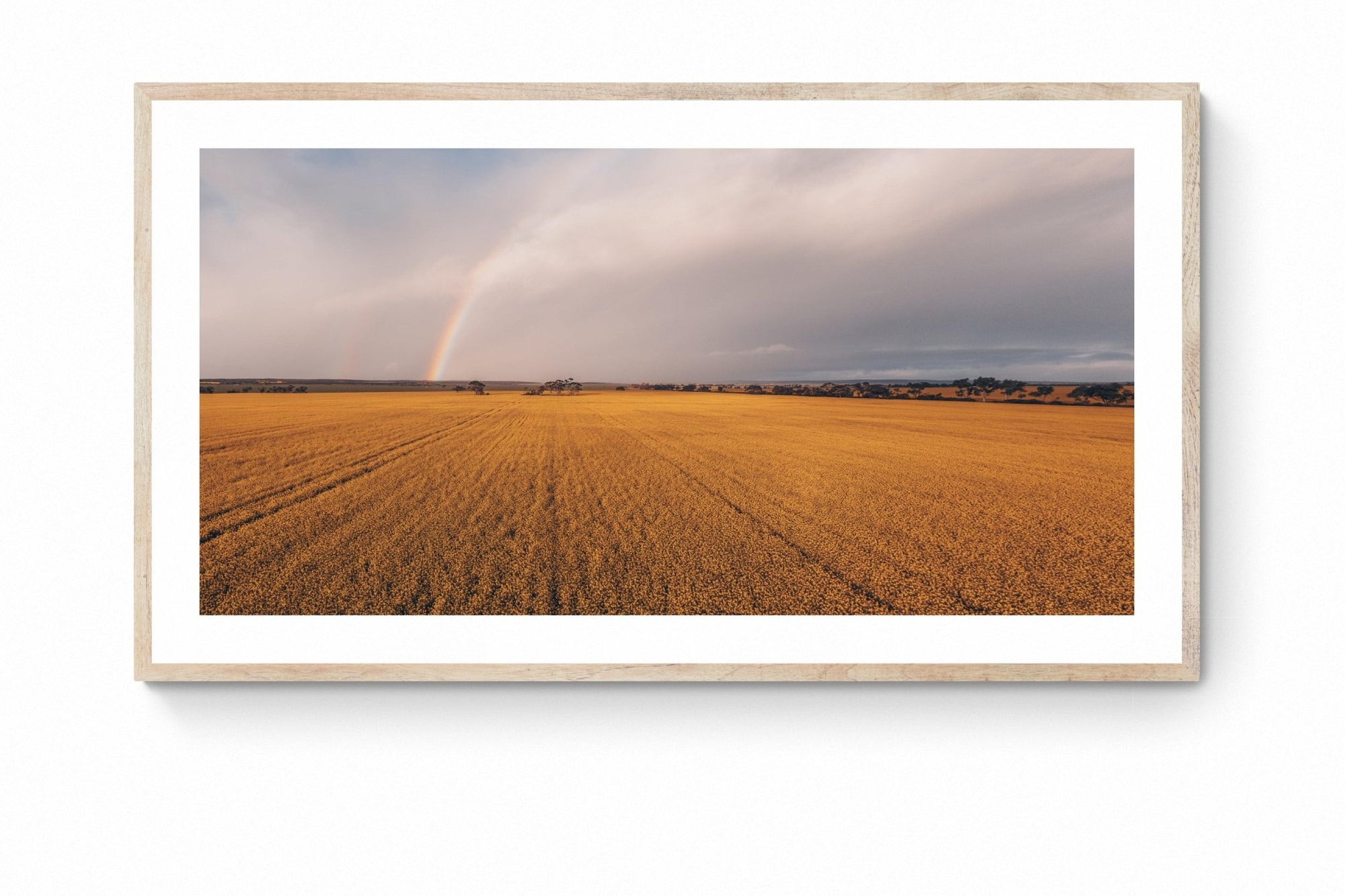 Saanvi - Mingenew Wall Art - Framed Print - Days Adrift