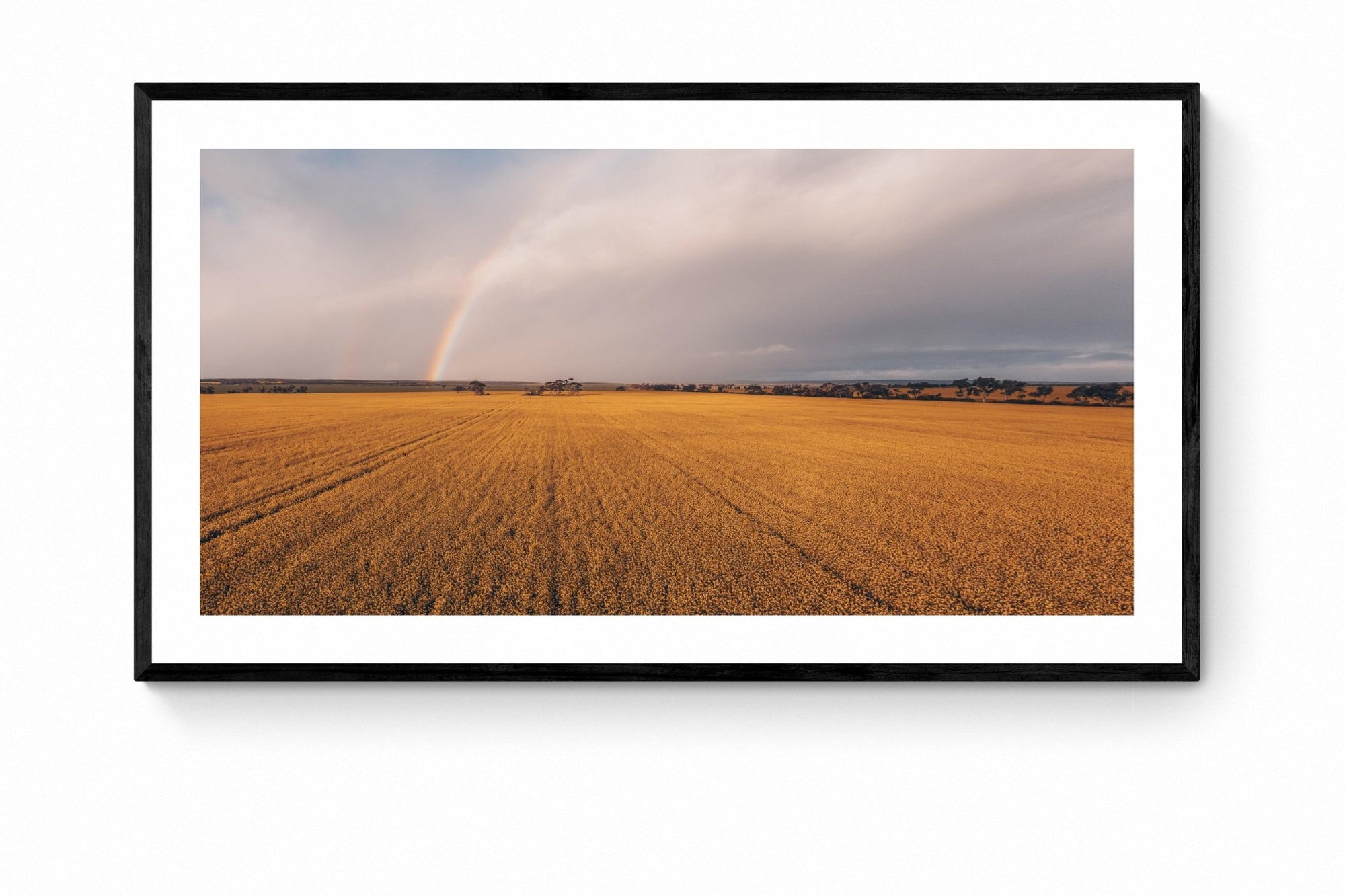 Saanvi - Mingenew Wall Art - Framed Print - Days Adrift