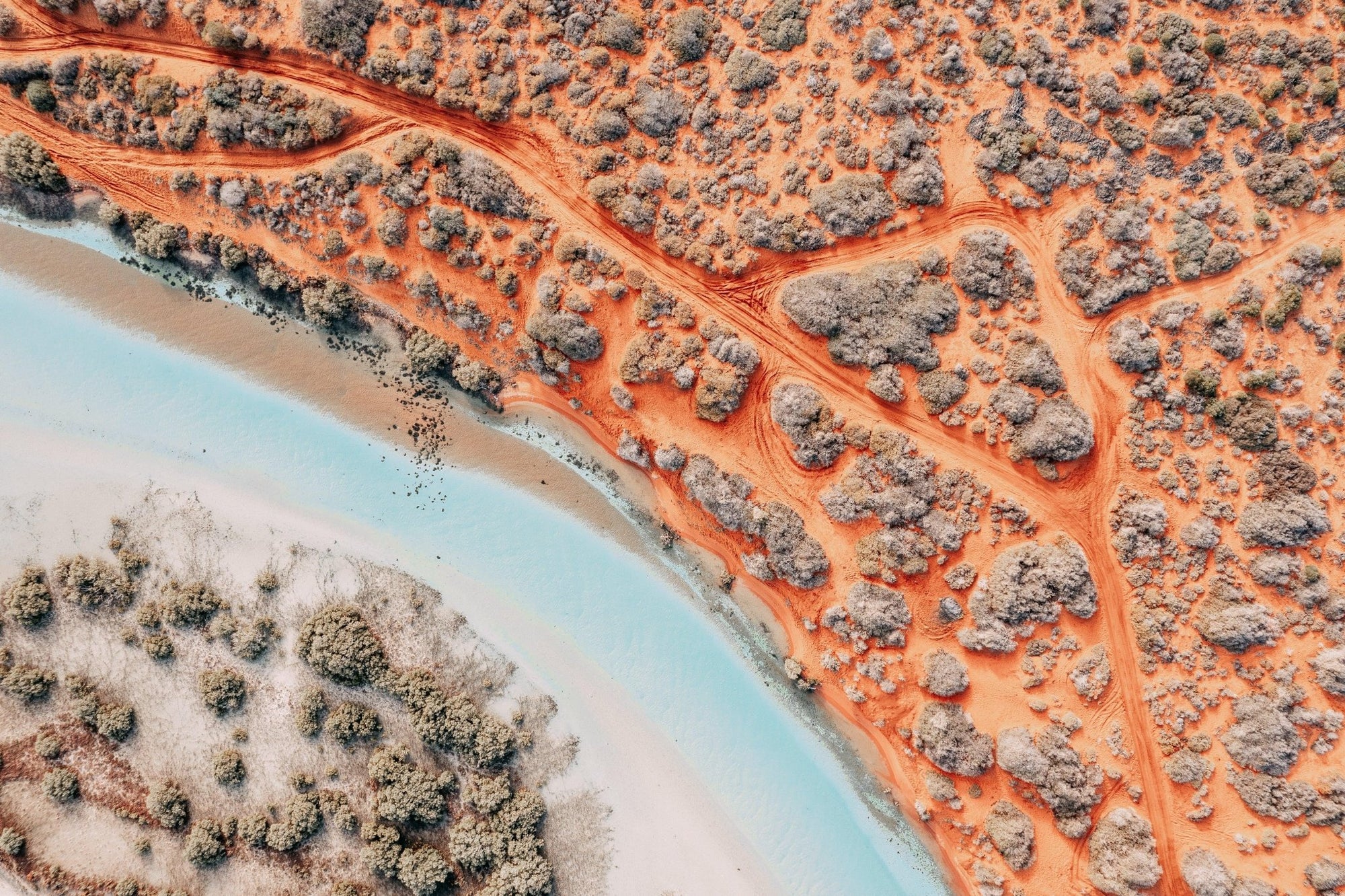 Sacha - Shark Bay Wall Art - Digital Download - Days Adrift