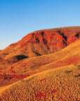 Sachin - Mt Bruce Wall Art - Digital Download - Days Adrift