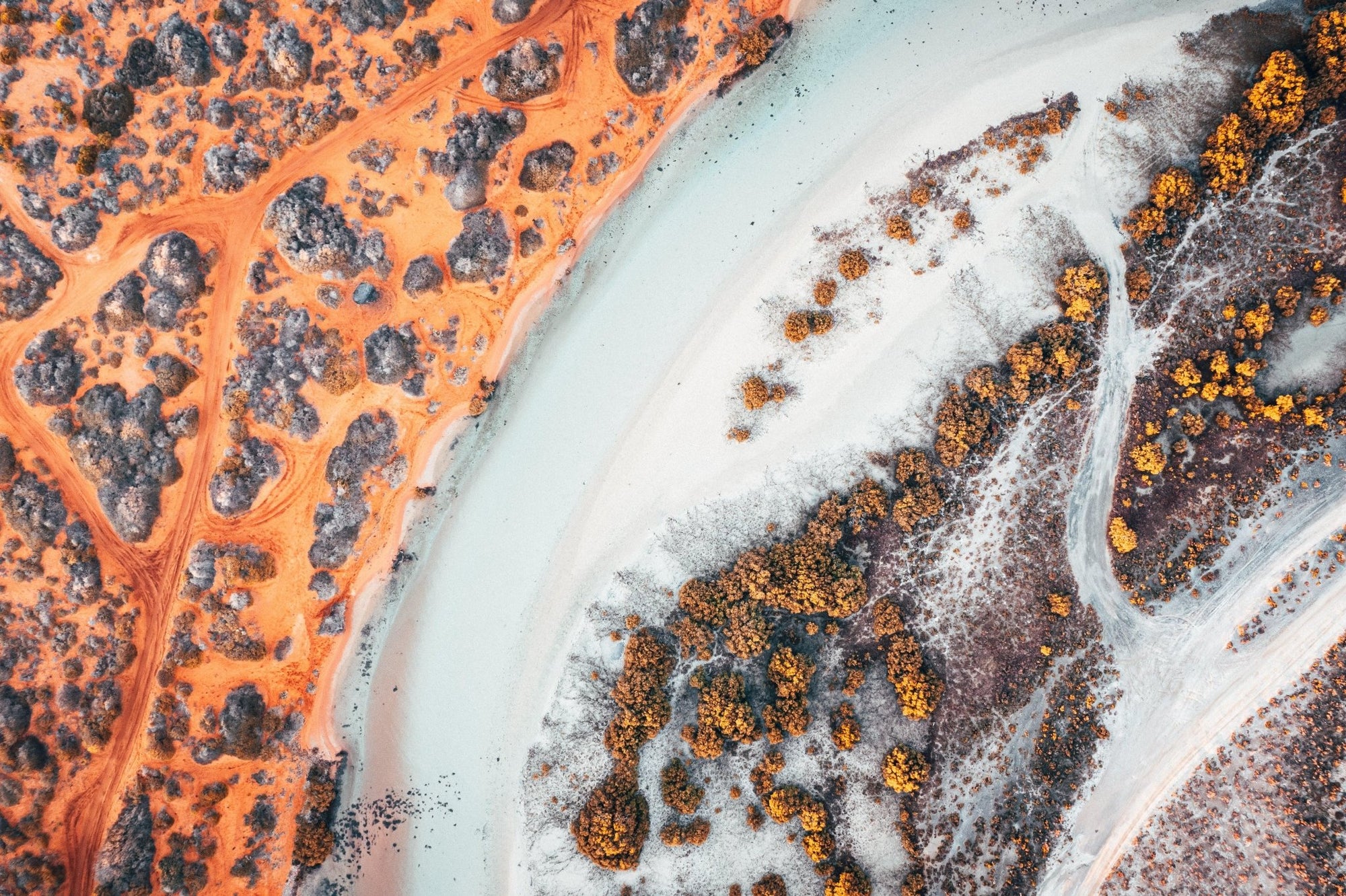 Scott - Shark Bay Wall Art - Framed Print - Days Adrift