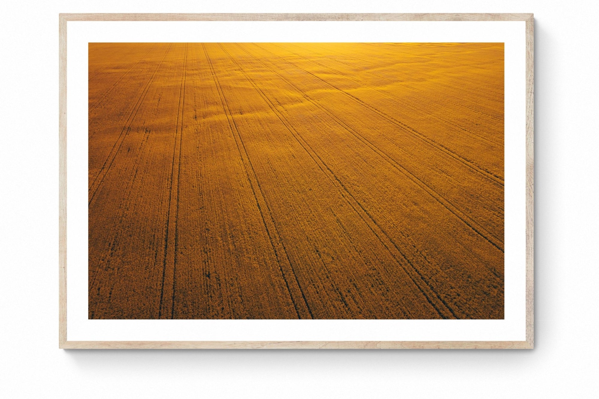 Seamus - Mingenew Wall Art - Digital Download - Days Adrift