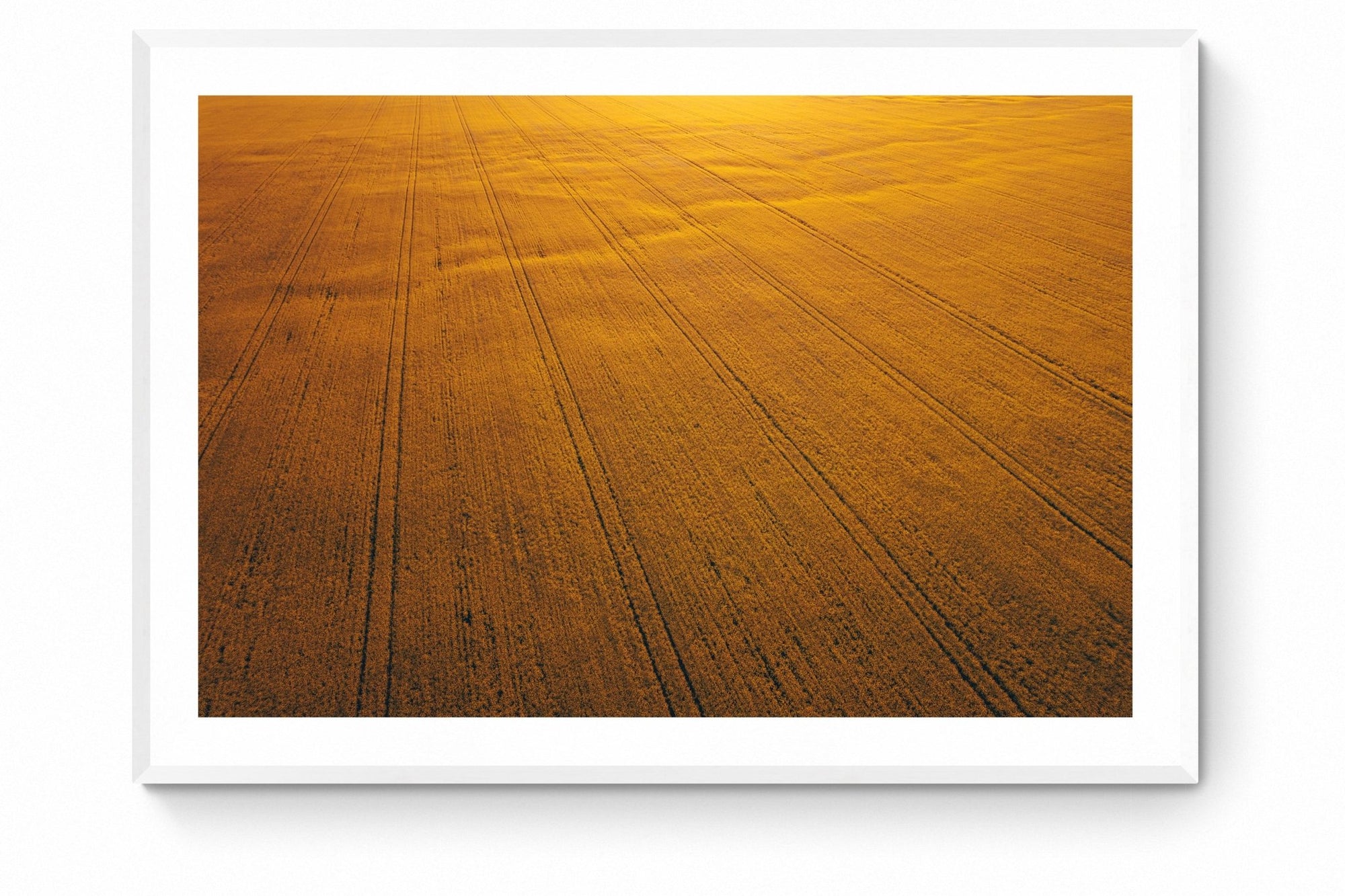 Seamus - Mingenew Wall Art - Framed Print - Days Adrift