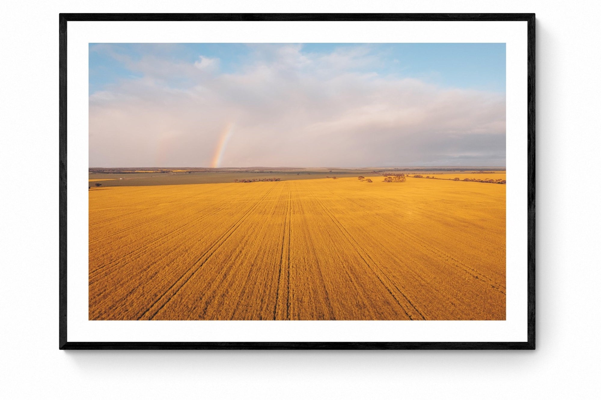 Soren - Mingenew Wall Art - Framed Print - Days Adrift