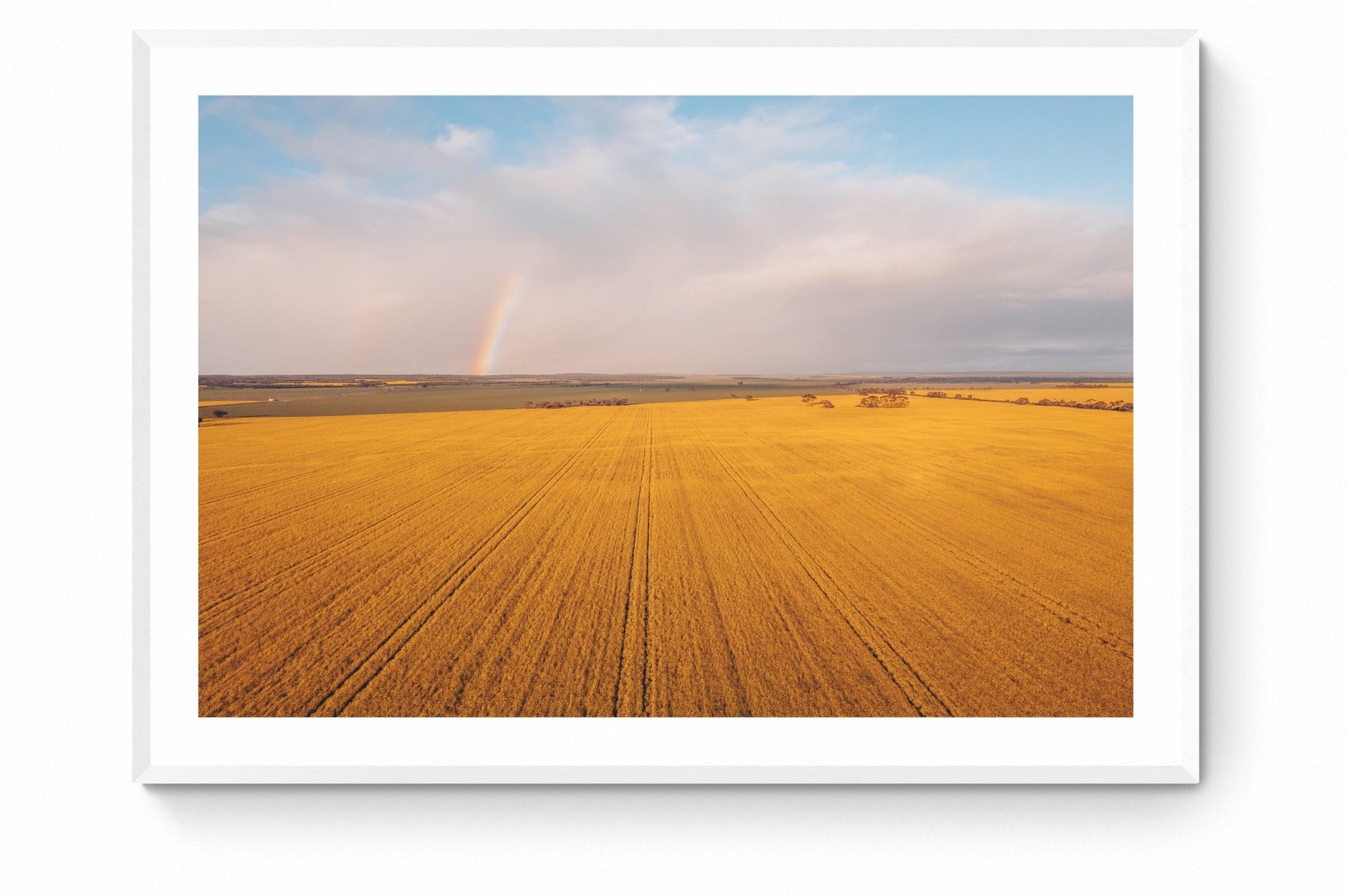 Soren - Mingenew Wall Art - Framed Print - Days Adrift