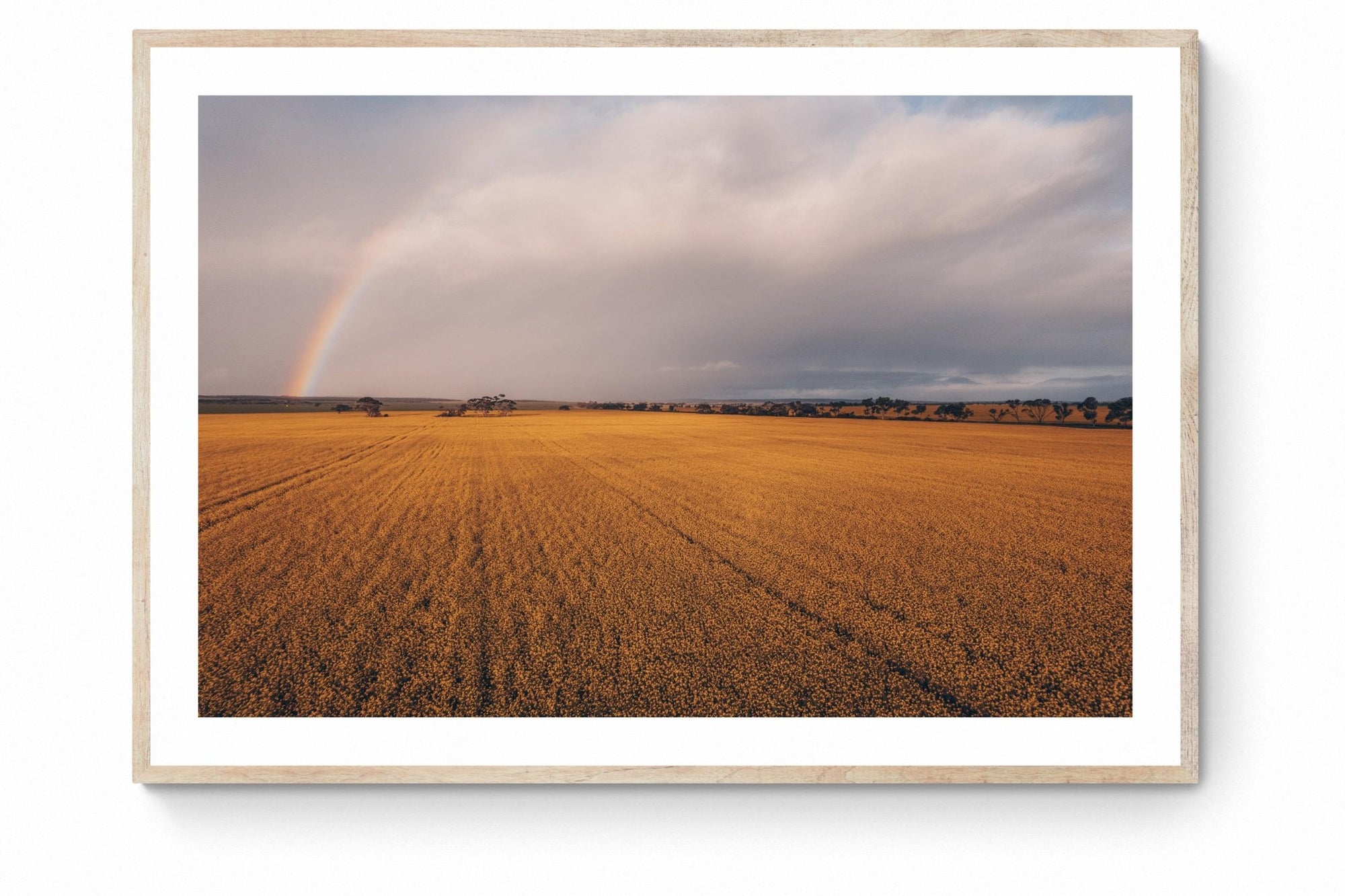 Suraya - Mingenew Wall Art - Digital Download - Days Adrift