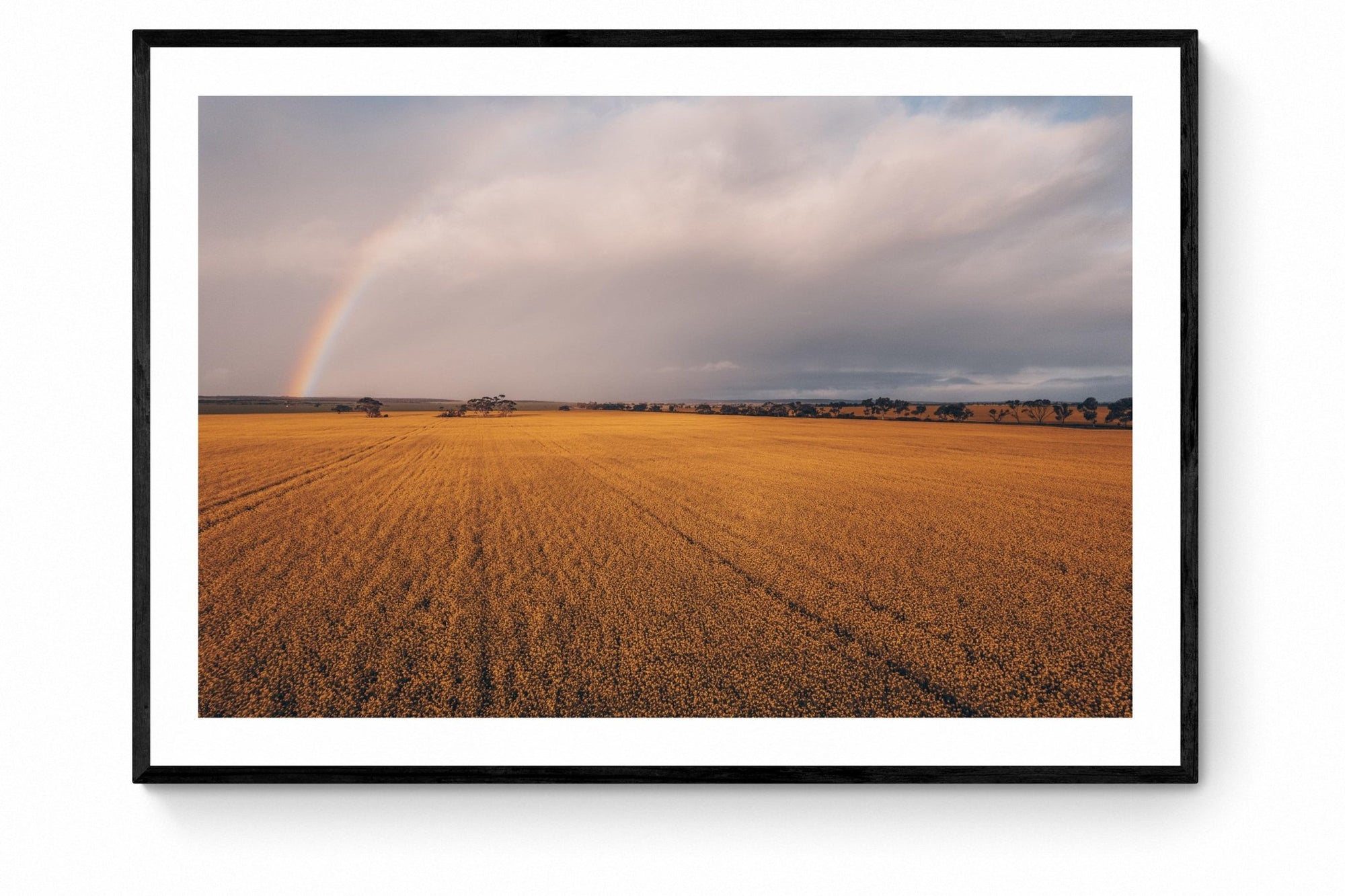 Suraya - Mingenew Wall Art - Framed Print - Days Adrift