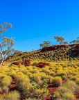 Sven - Karijini Wall Art - Digital Download - Days Adrift