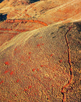 Taha - Mt Bruce Wall Art - Digital Download - Days Adrift