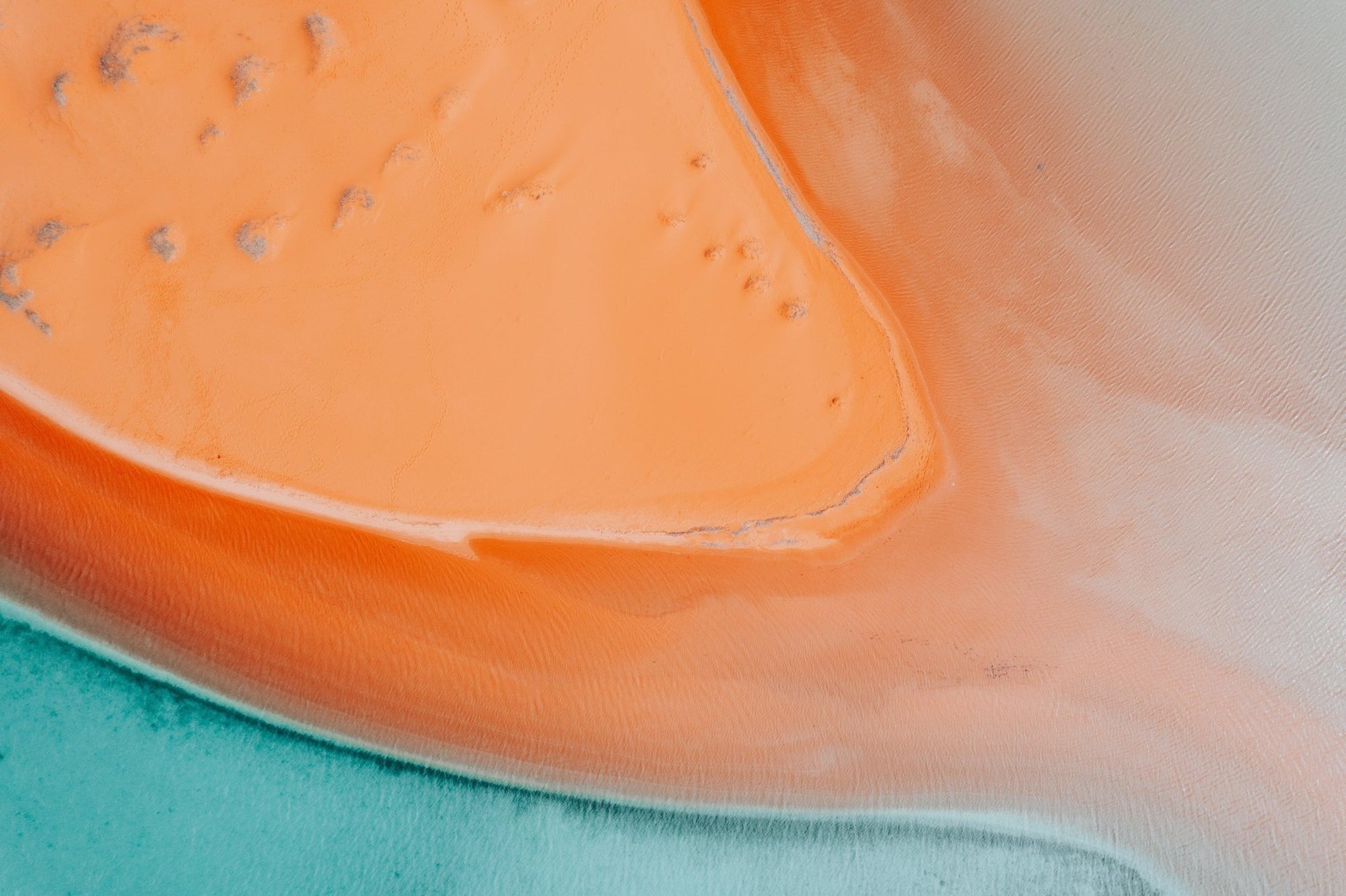 Tahlia - Shark Bay Wall Art - Digital Download - Days Adrift