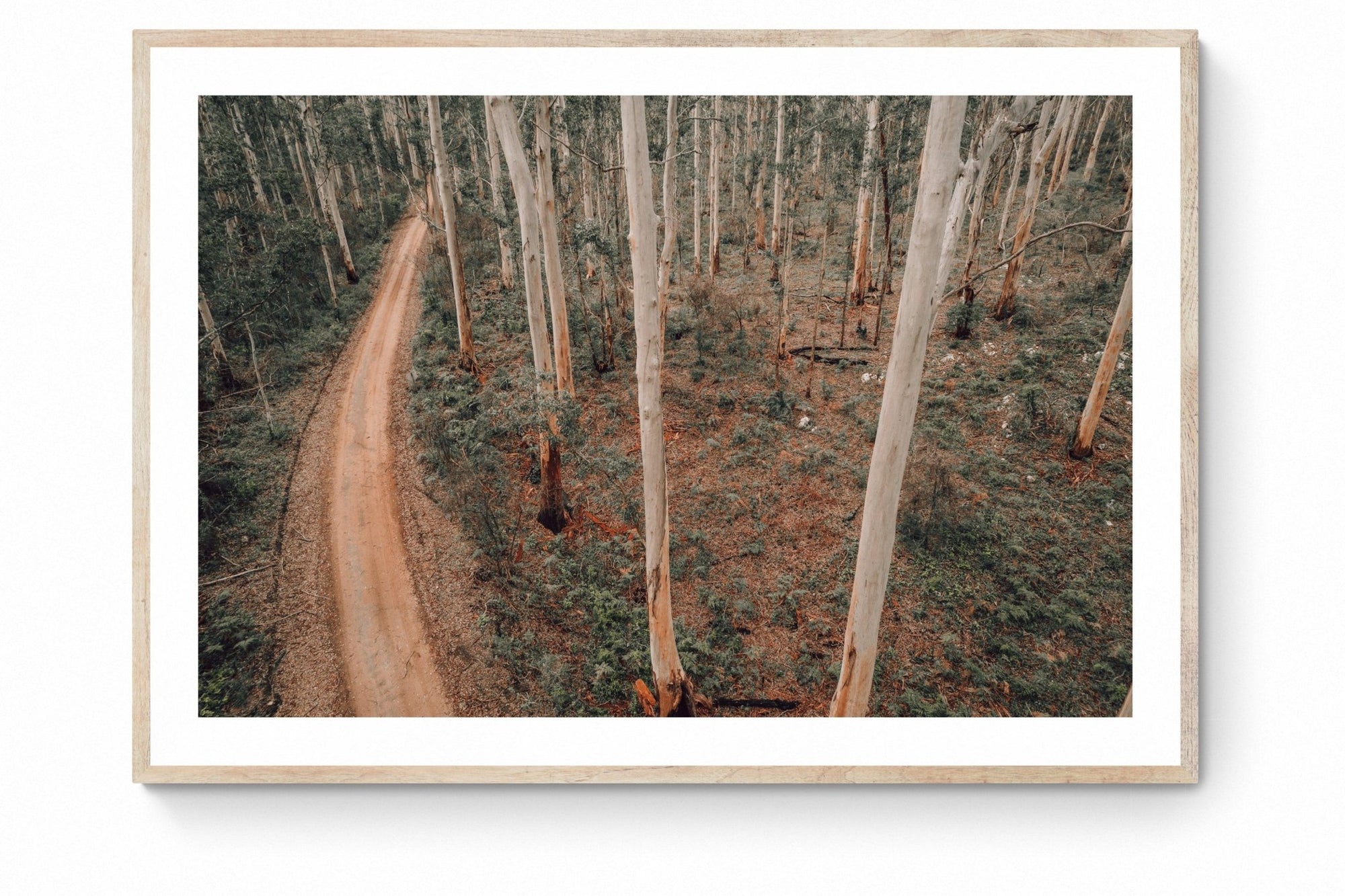 Tatjana - Boranup Forest Wall Art - Digital Download - Days Adrift