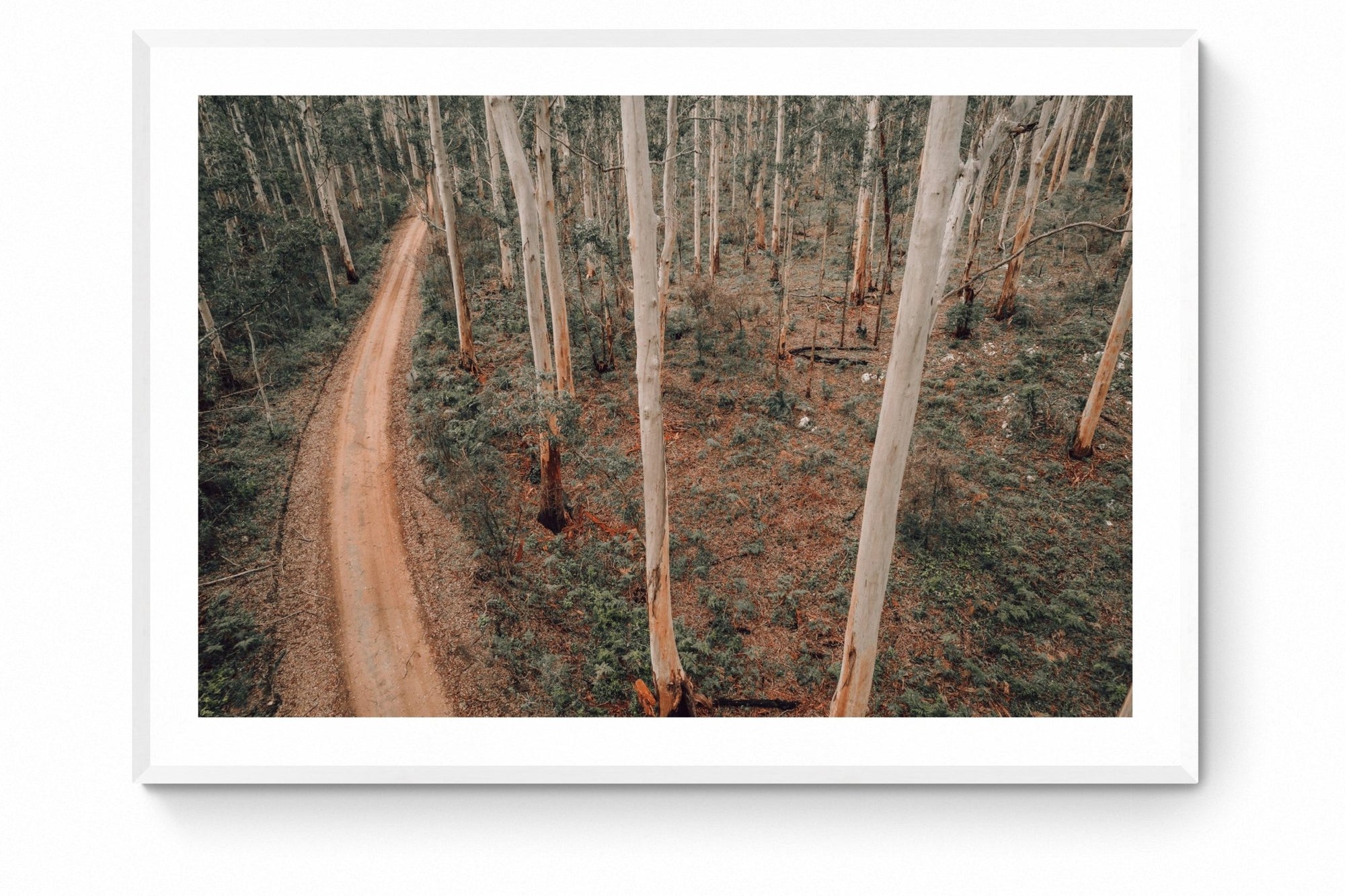 Tatjana - Boranup Wall Art - Framed Print - Days Adrift