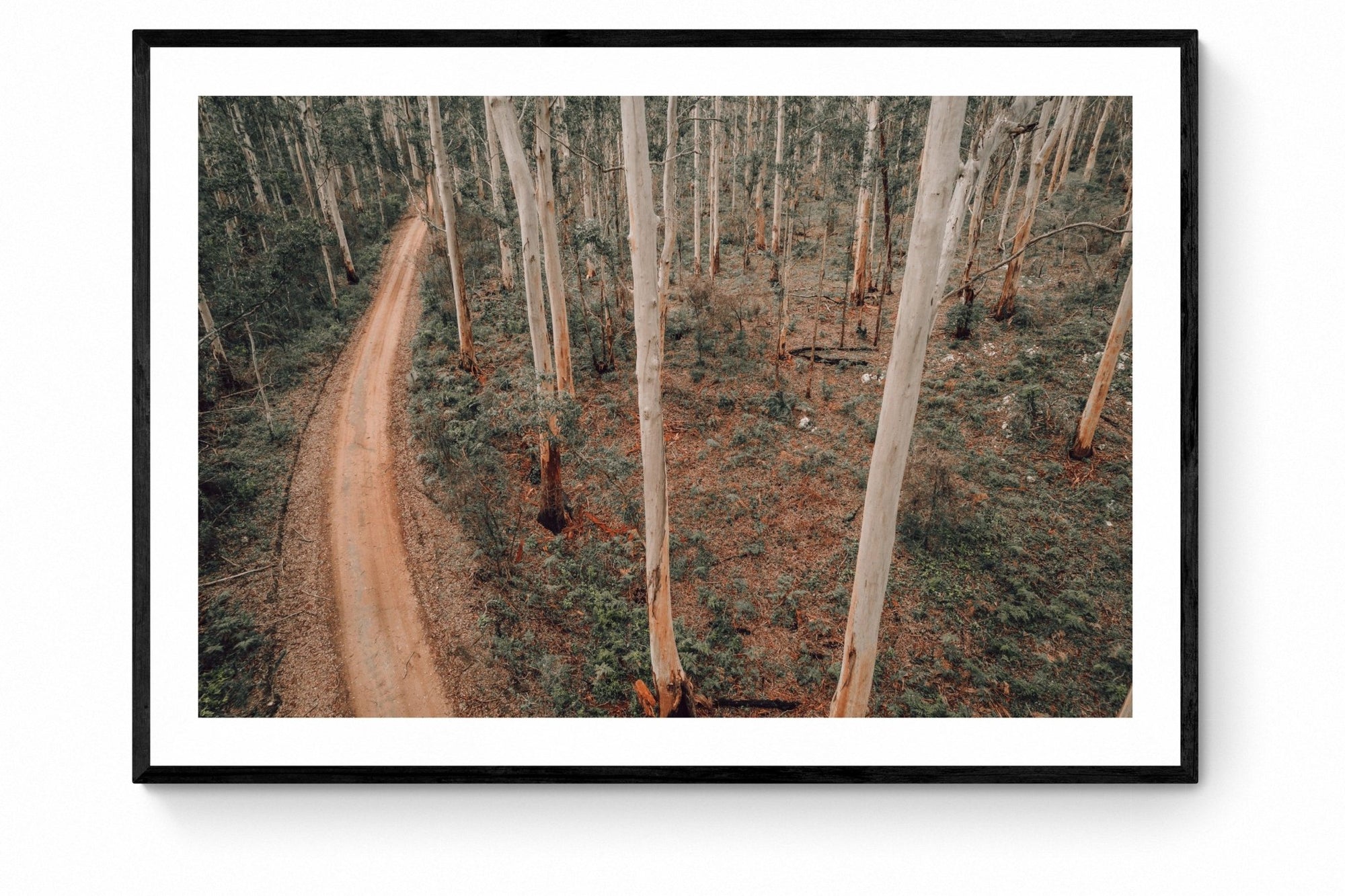 Tatjana - Boranup Wall Art - Framed Print - Days Adrift