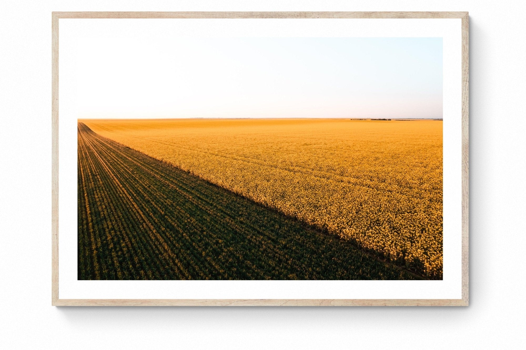 Thatcher - Mingenew Wall Art - Digital Download - Days Adrift