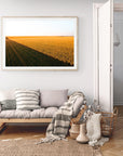 Thatcher - Mingenew Wall Art - Framed Print - Days Adrift