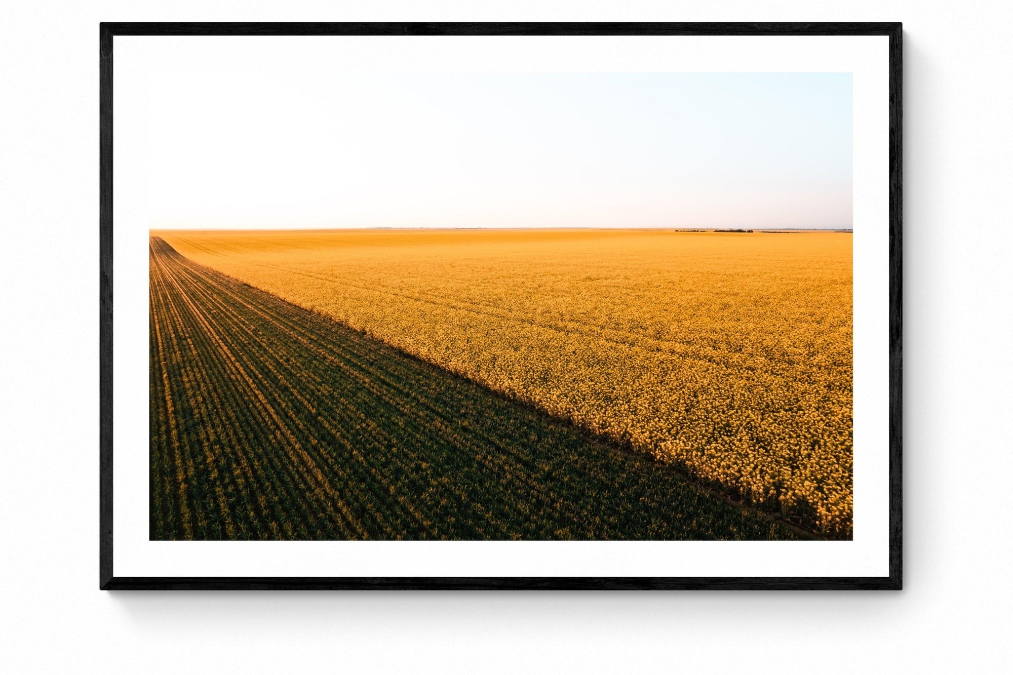 Thatcher - Mingenew Wall Art - Framed Print - Days Adrift