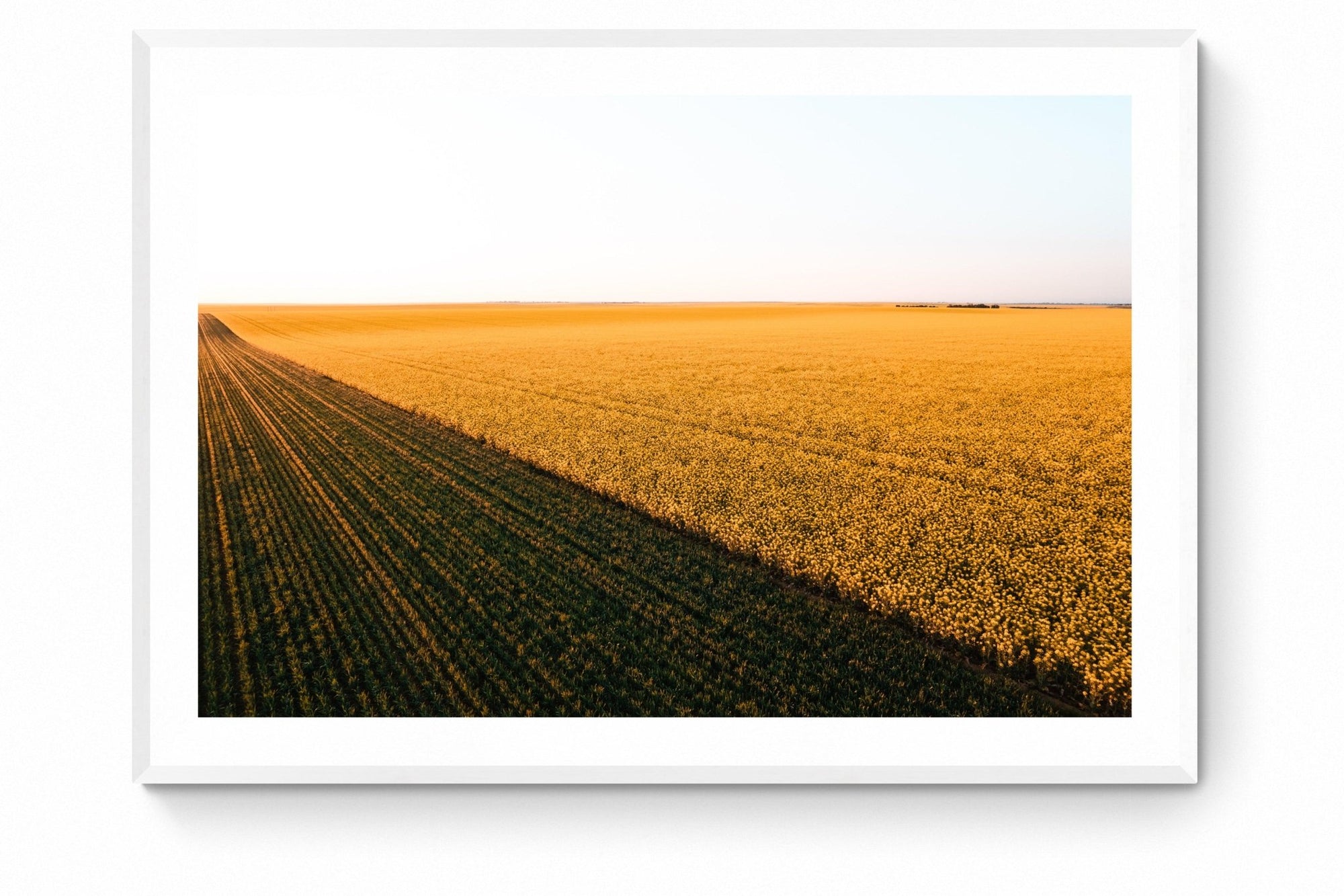 Thatcher - Mingenew Wall Art - Framed Print - Days Adrift