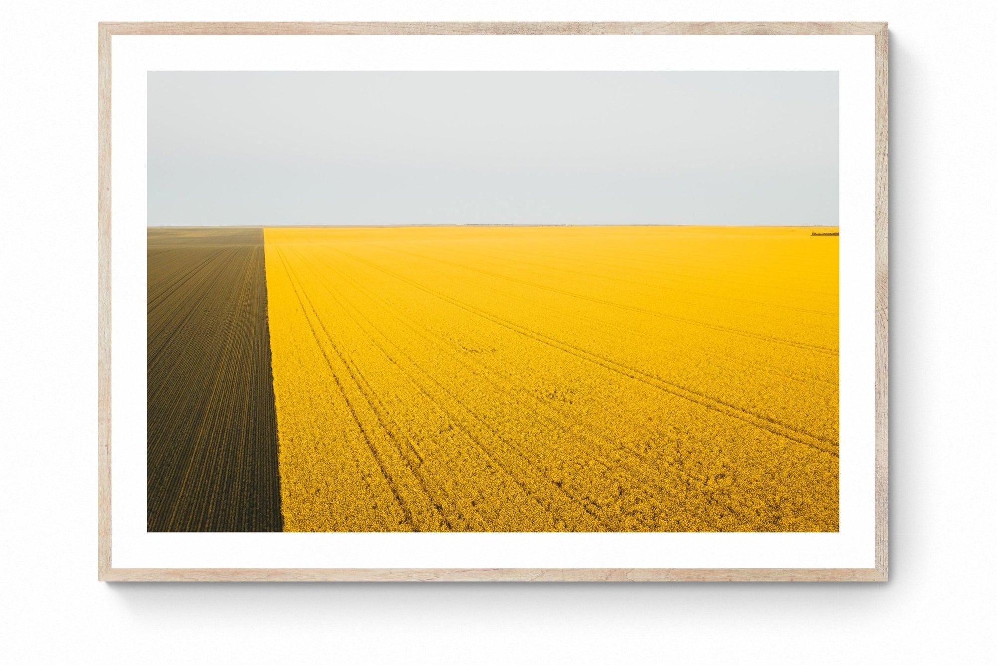 Topaz - Mingenew Wall Art - Framed Print - Days Adrift