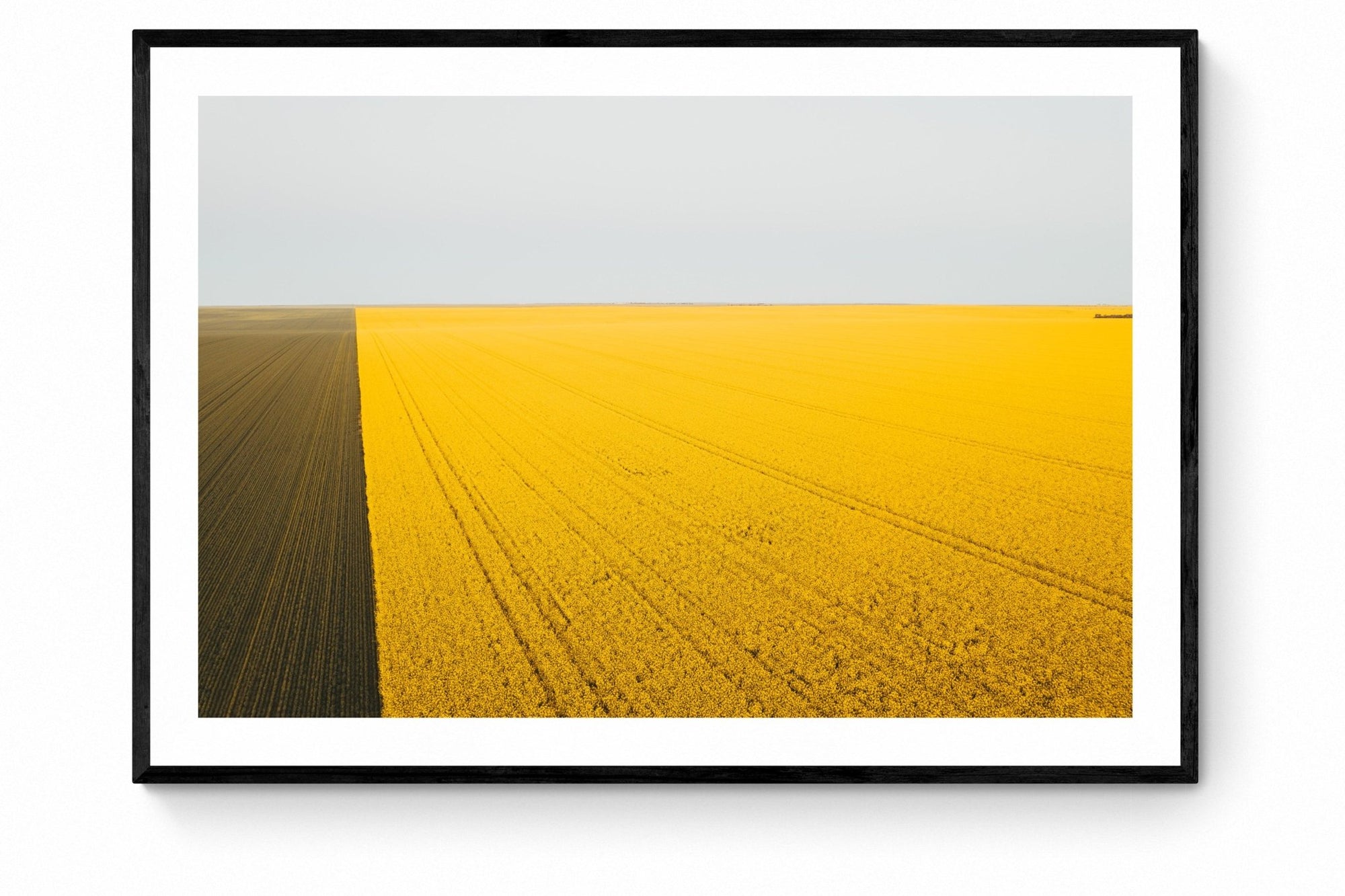 Topaz - Mingenew Wall Art - Framed Print - Days Adrift