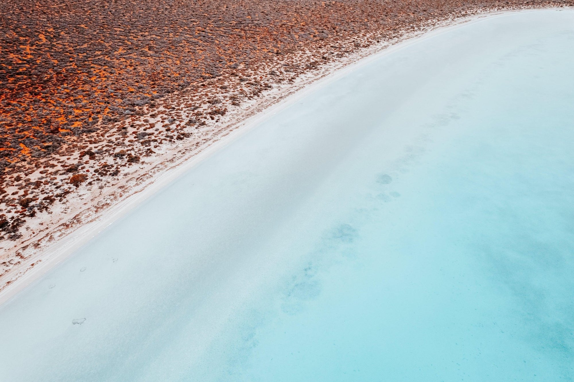 Vera - Shark Bay Wall Art - Digital Download - Days Adrift