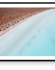 Vera - Shark Bay Wall Art - Framed Print - Days Adrift