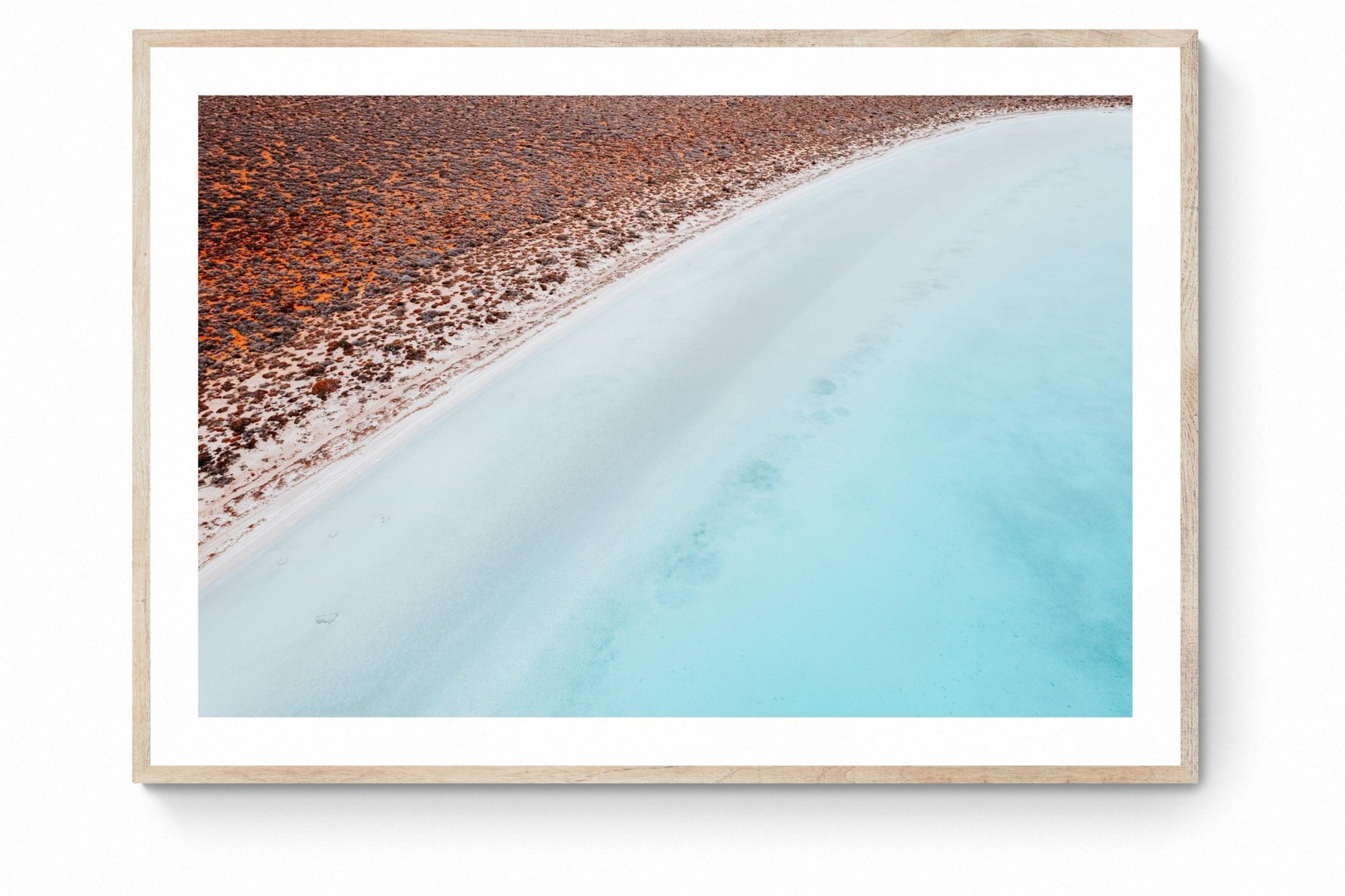 Vera - Shark Bay Wall Art - Framed Print - Days Adrift