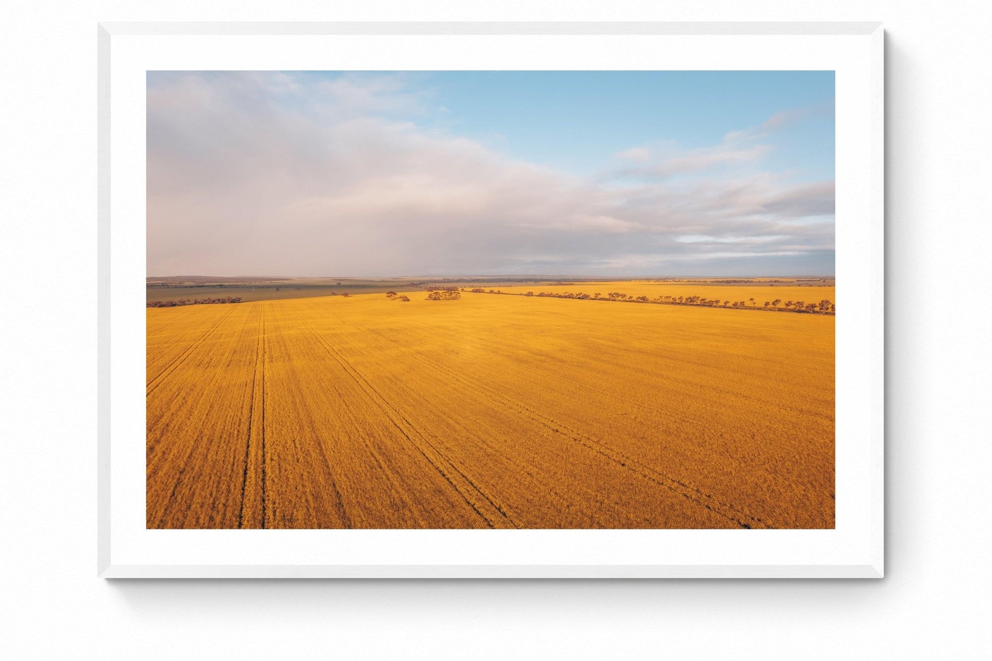 Vincent - Mingenew Wall Art - Framed Print - Days Adrift