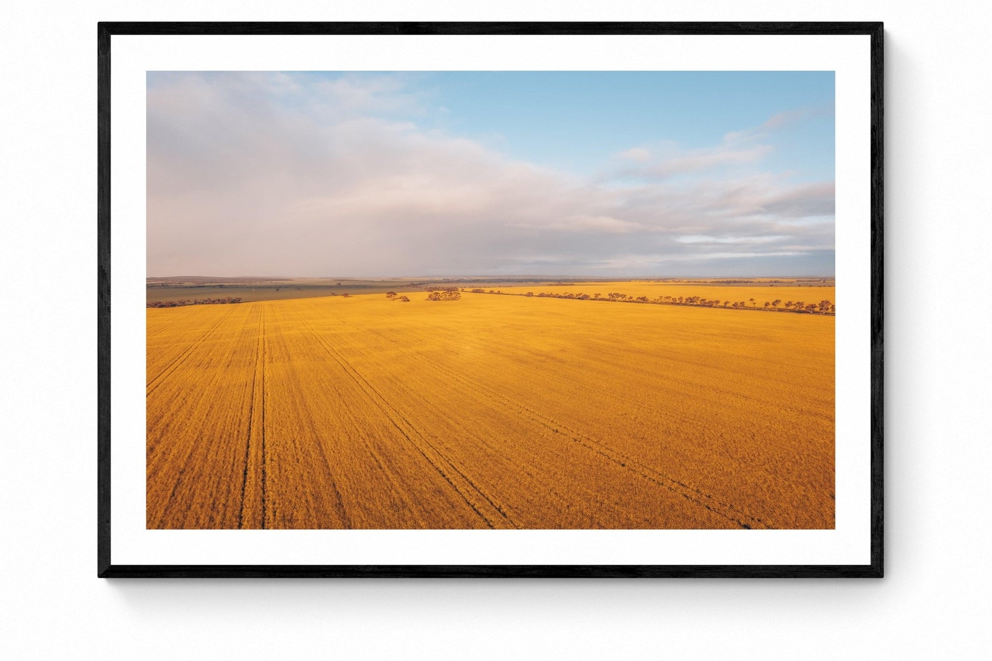 Vincent - Mingenew Wall Art - Framed Print - Days Adrift