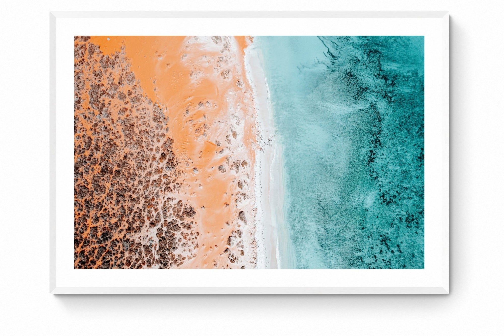 William - Shark Bay Wall Art - Framed Print - Days Adrift