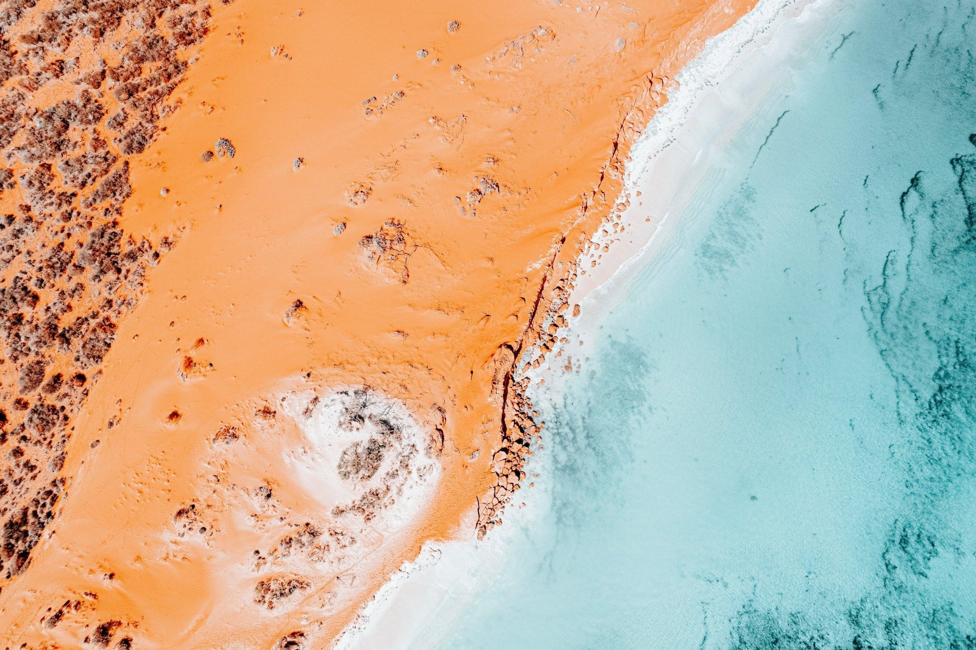 Willow - Shark Bay Wall Art - Digital Download - Days Adrift