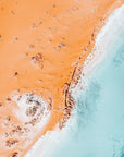 Willow - Shark Bay Wall Art - Digital Download - Days Adrift