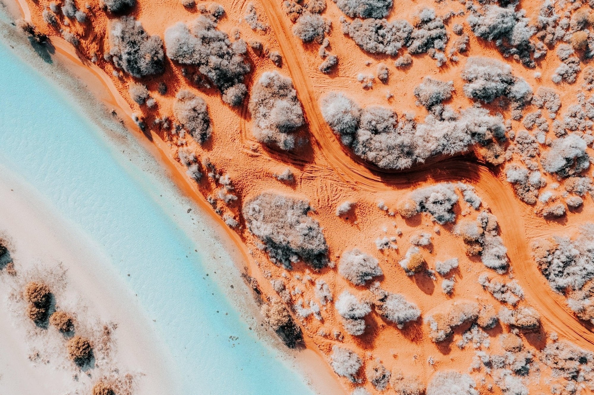 Yehuda - Shark Bay Wall Art - Digital Download - Days Adrift