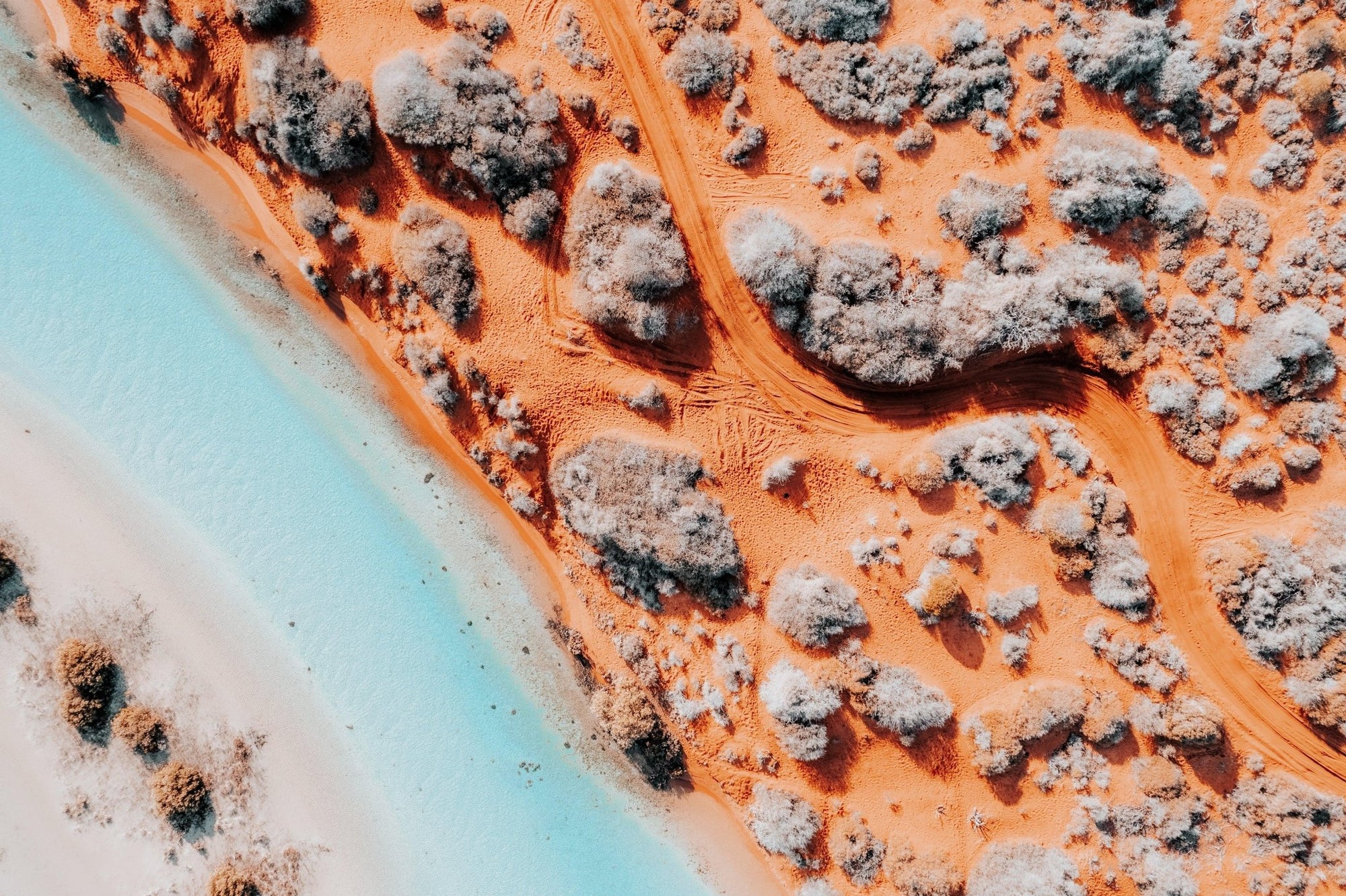 Yehuda - Shark Bay Wall Art - Digital Download - Days Adrift