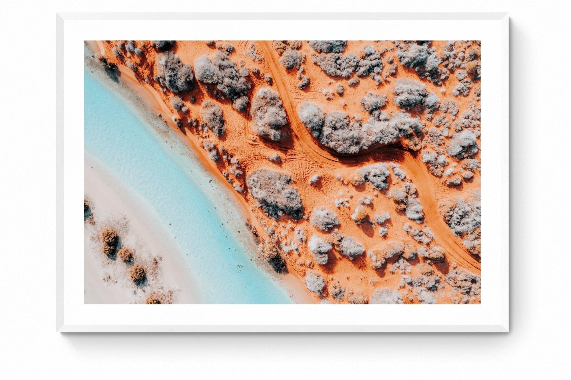 Yehuda - Shark Bay Wall Art - Framed Print - Days Adrift