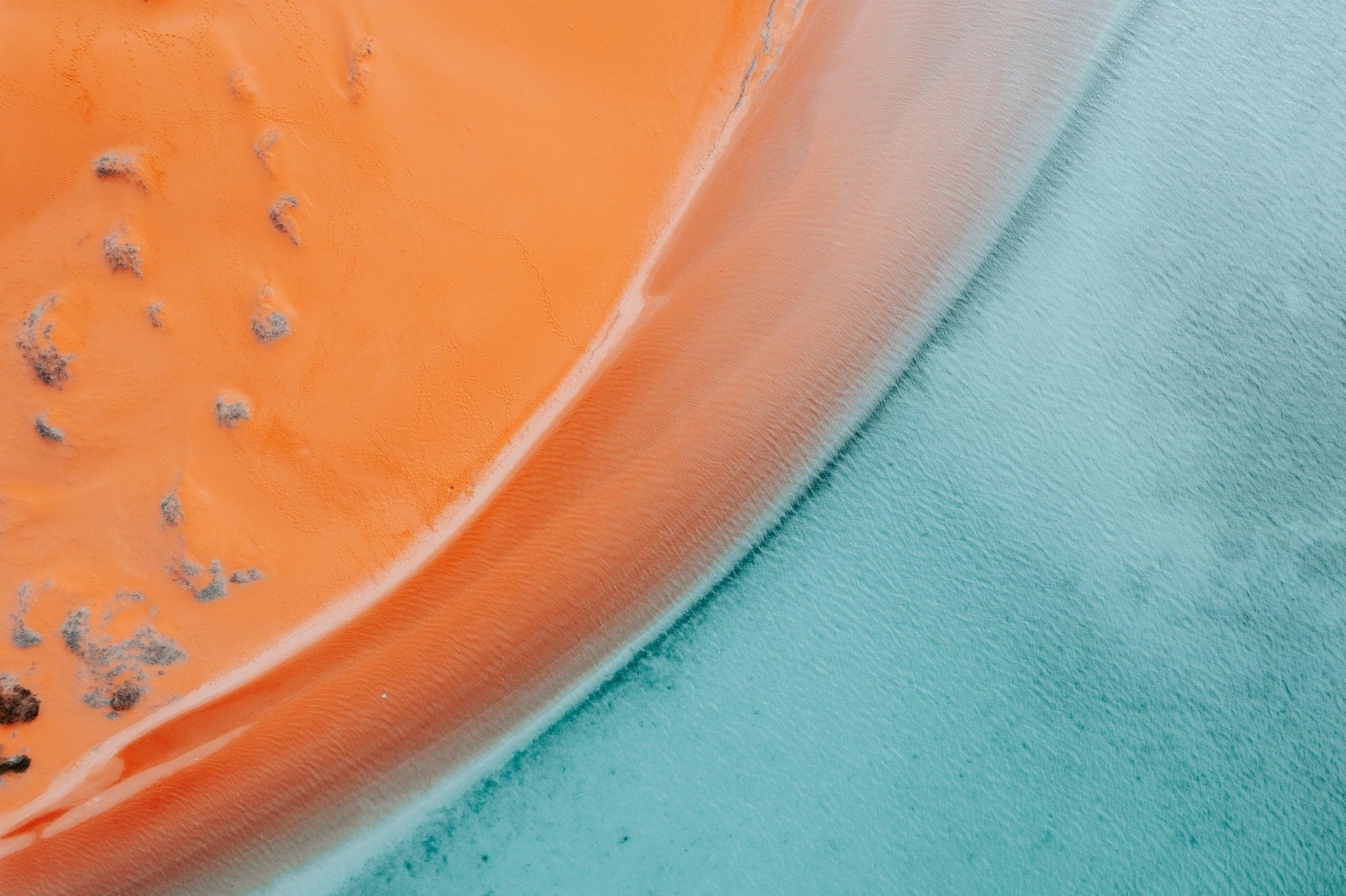 Yuriko - Shark Bay Wall Art - Digital Download - Days Adrift