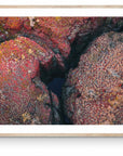 Zachary - Karijini Wall Art - Digital Download - Days Adrift