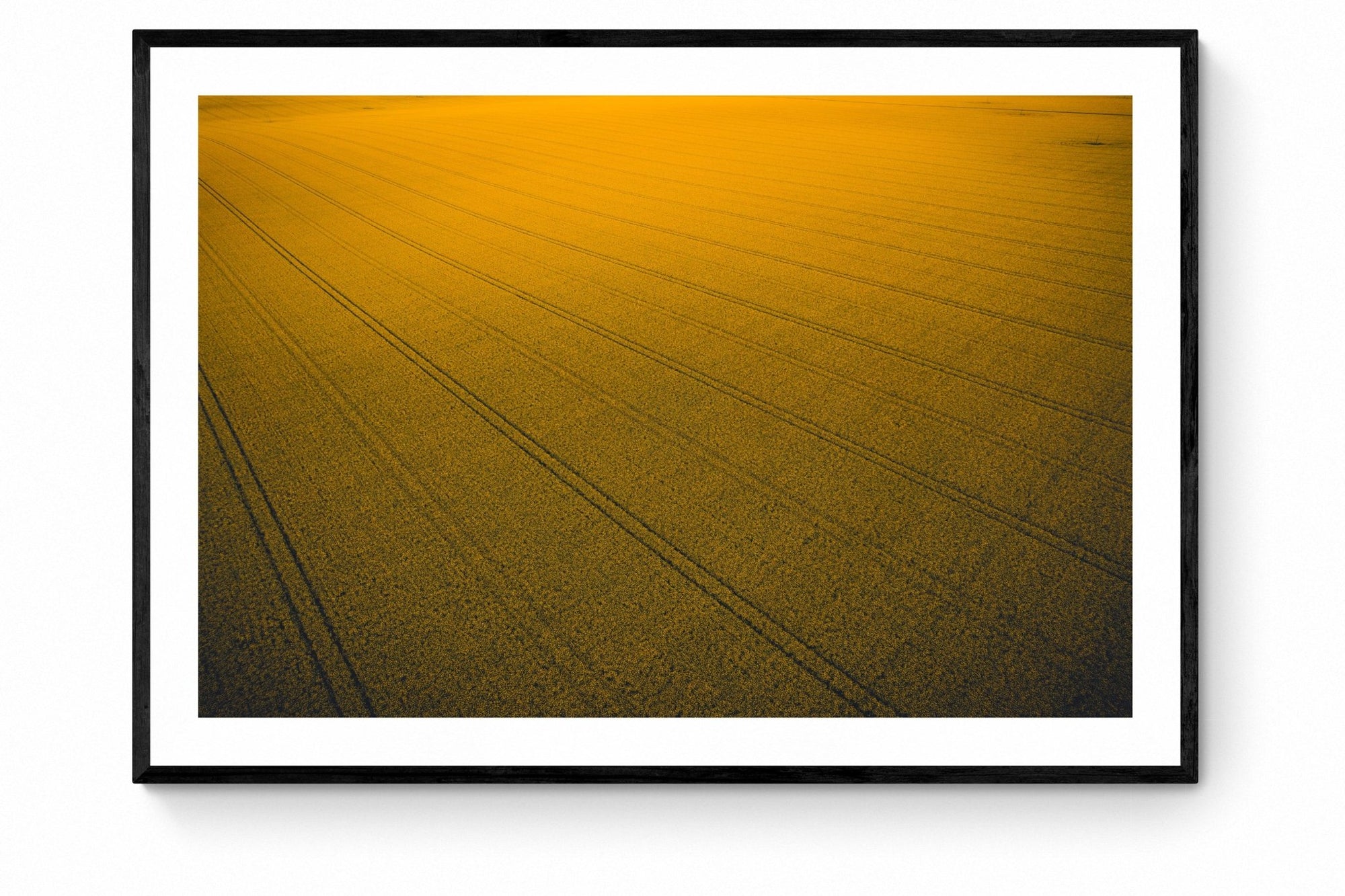 Zaki - Mingenew Wall Art - Framed Print - Days Adrift